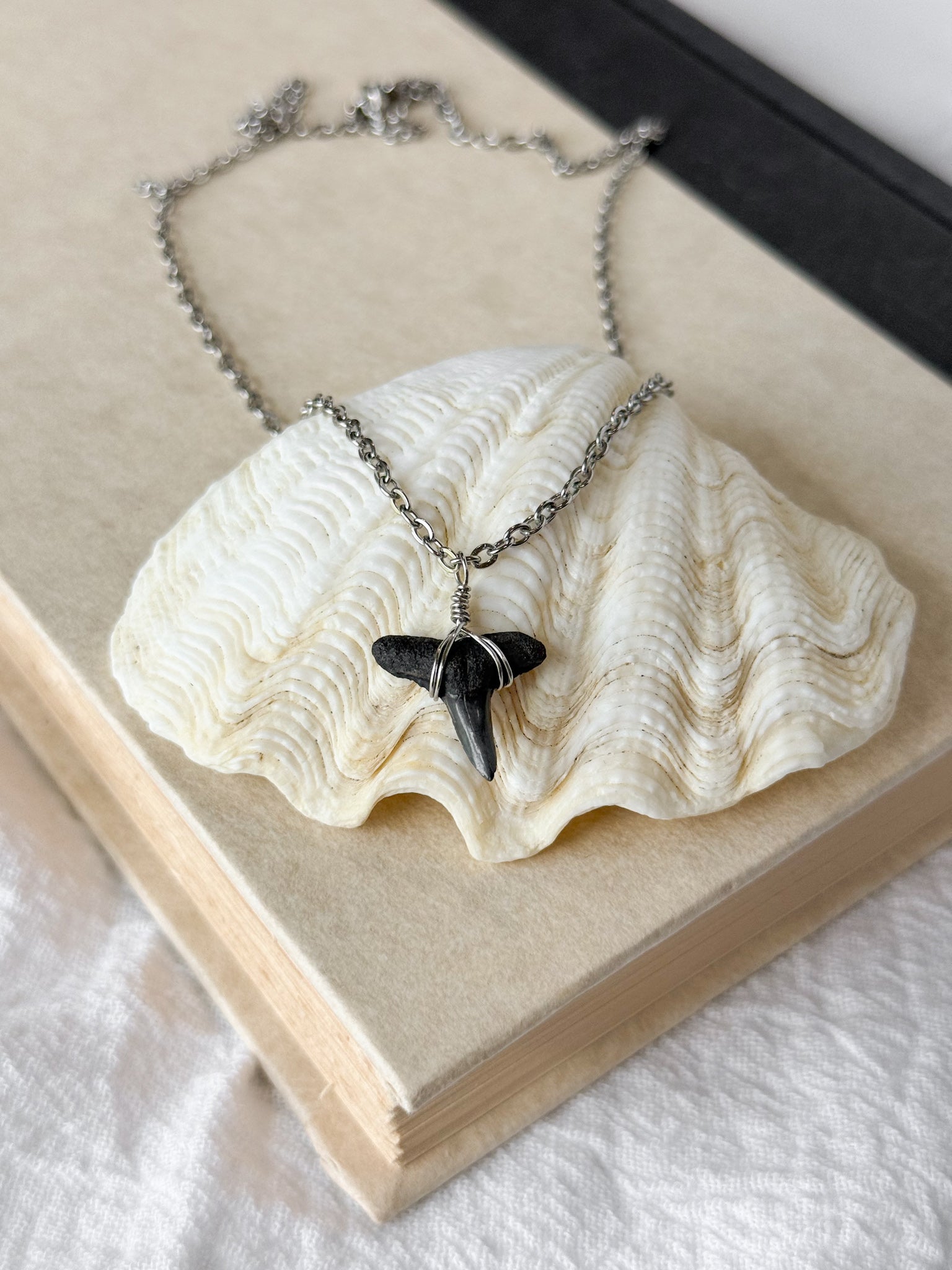 Shark tooth necklace