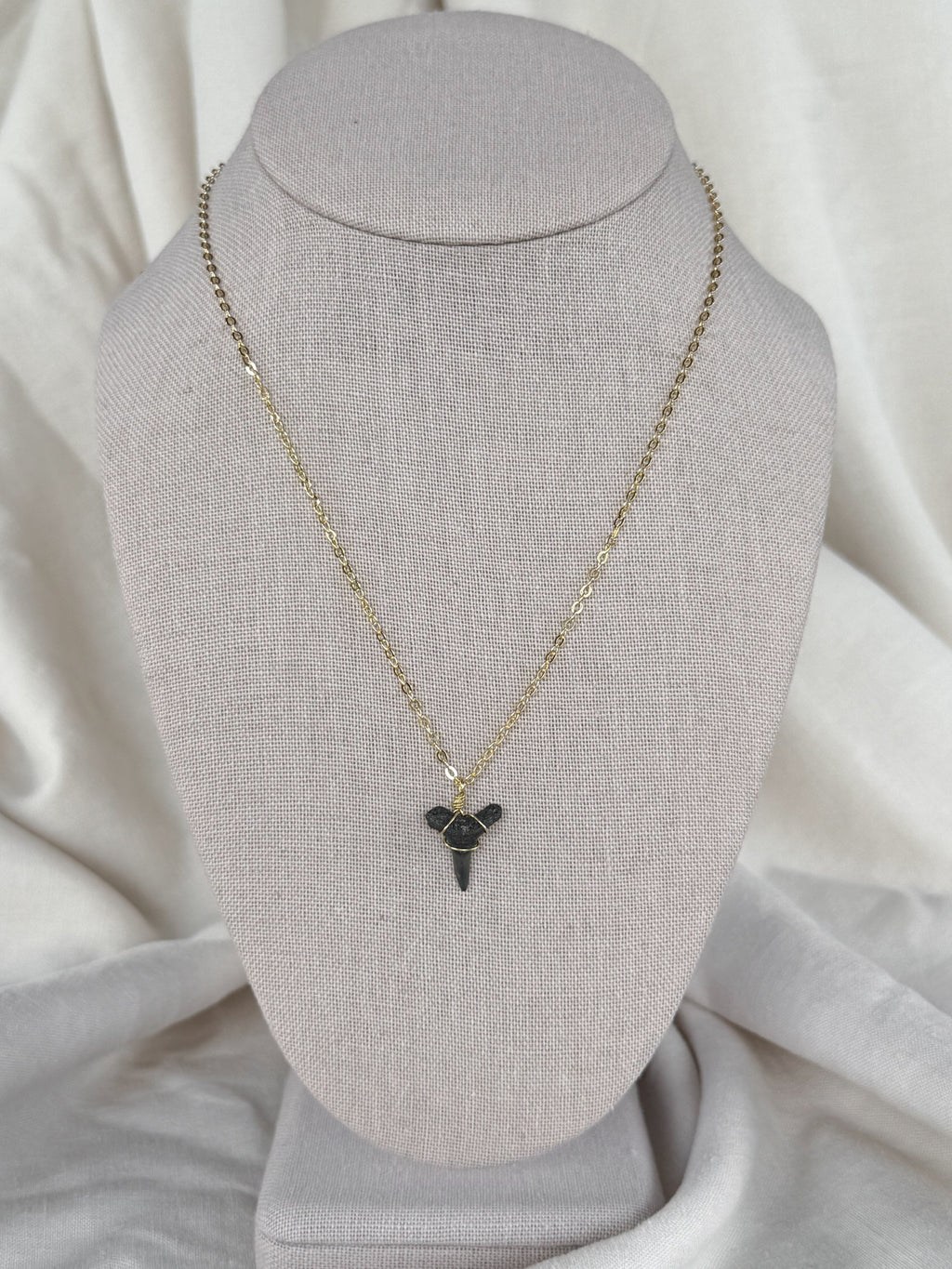 Shark tooth necklace