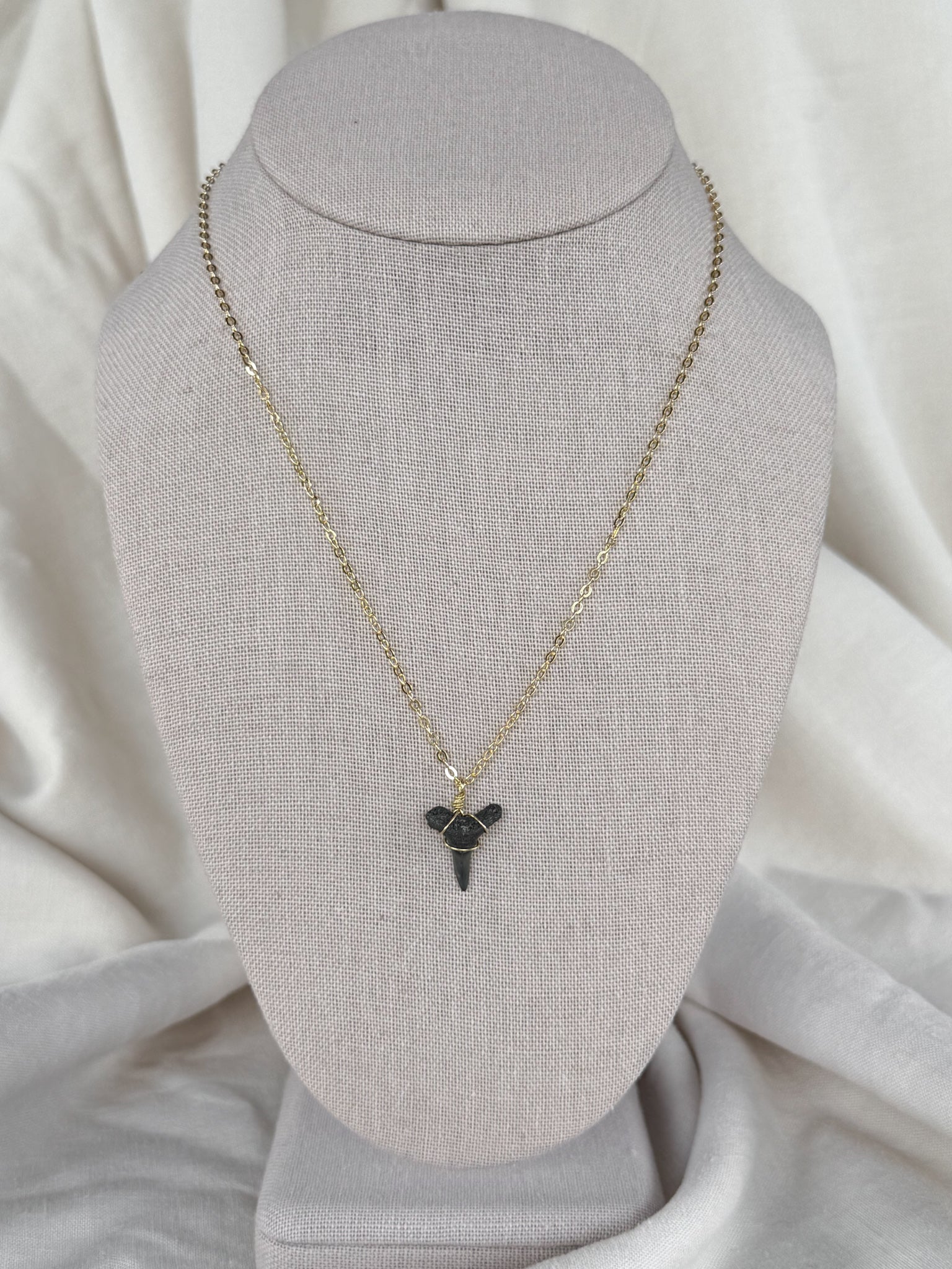 Shark tooth necklace