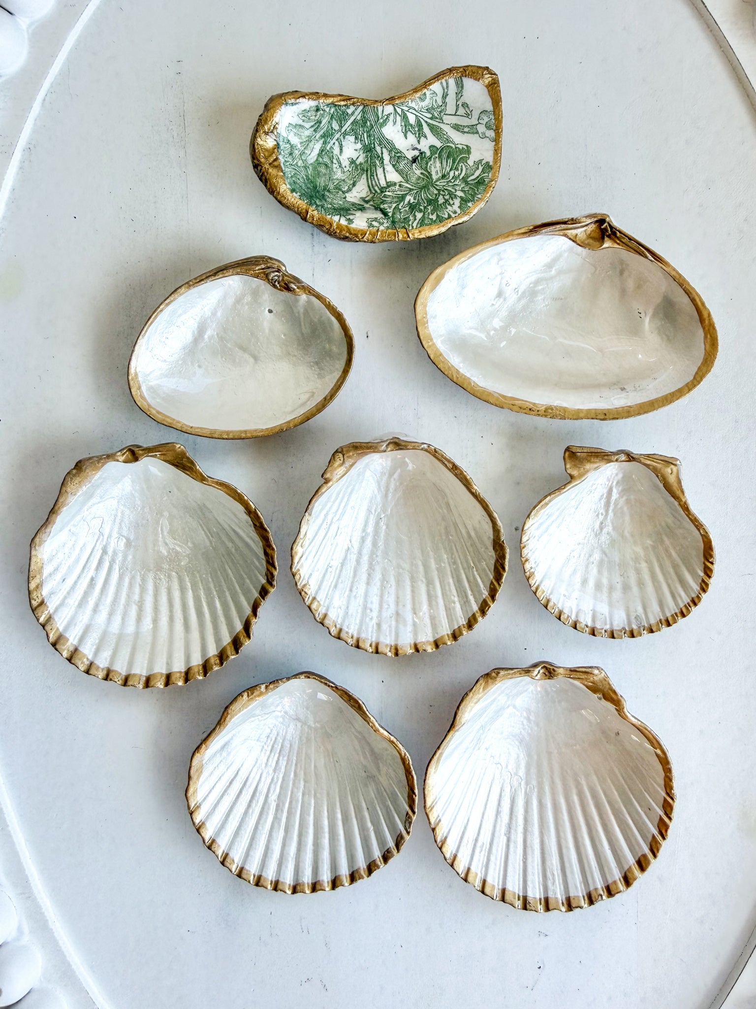 Mini seashell trays