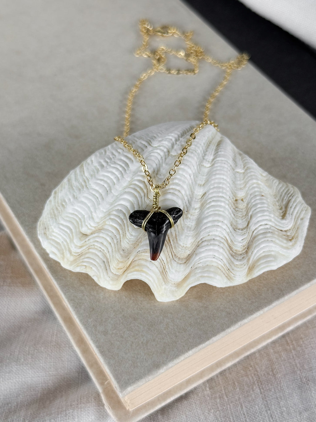 Shark tooth necklace