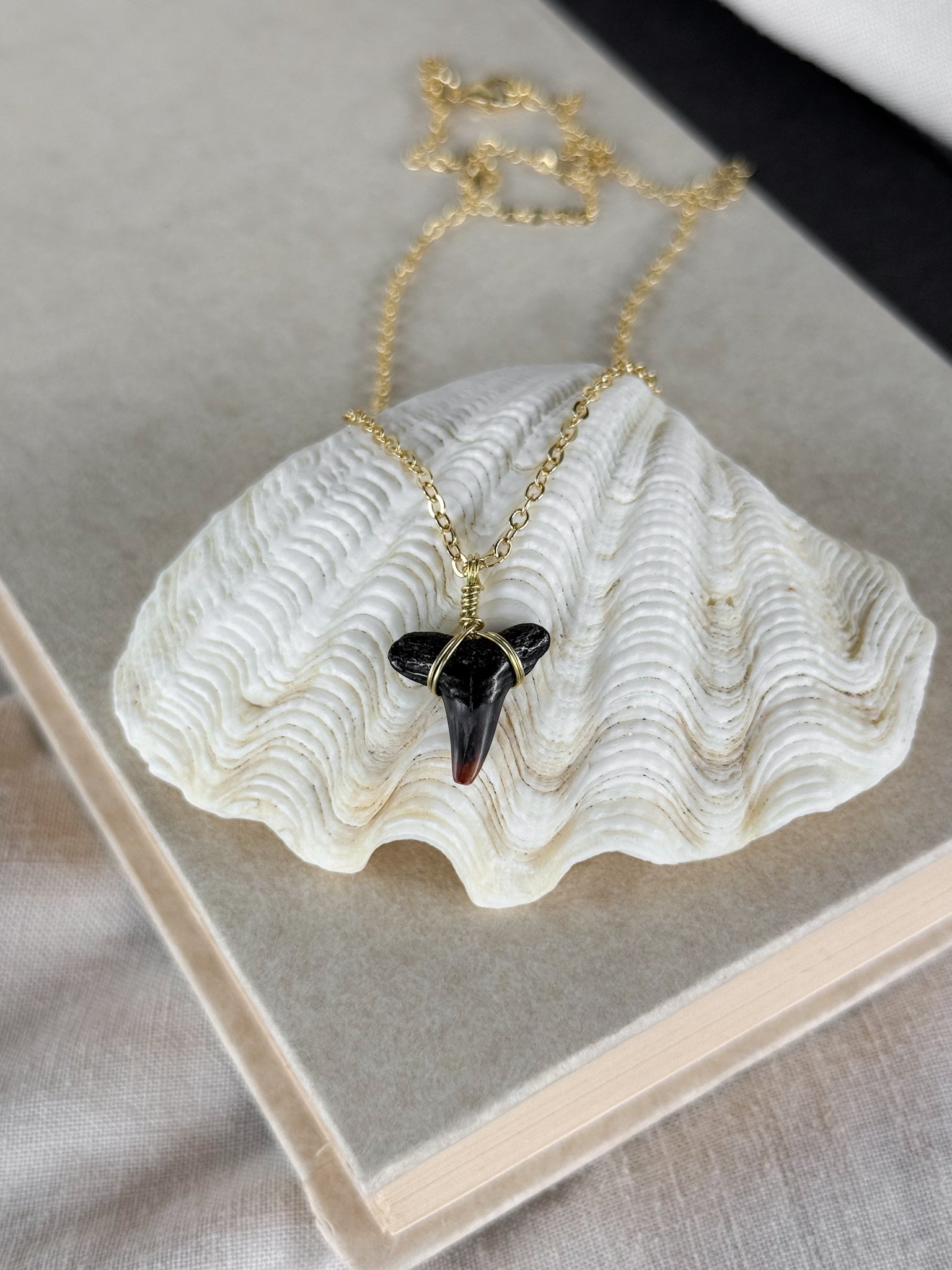 Shark tooth necklace