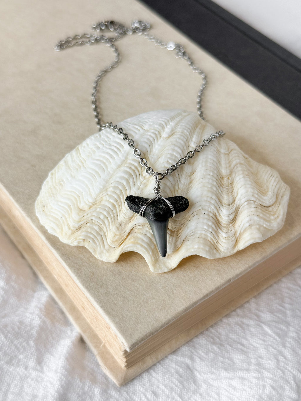 Shark tooth necklace
