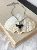 Shark tooth necklace