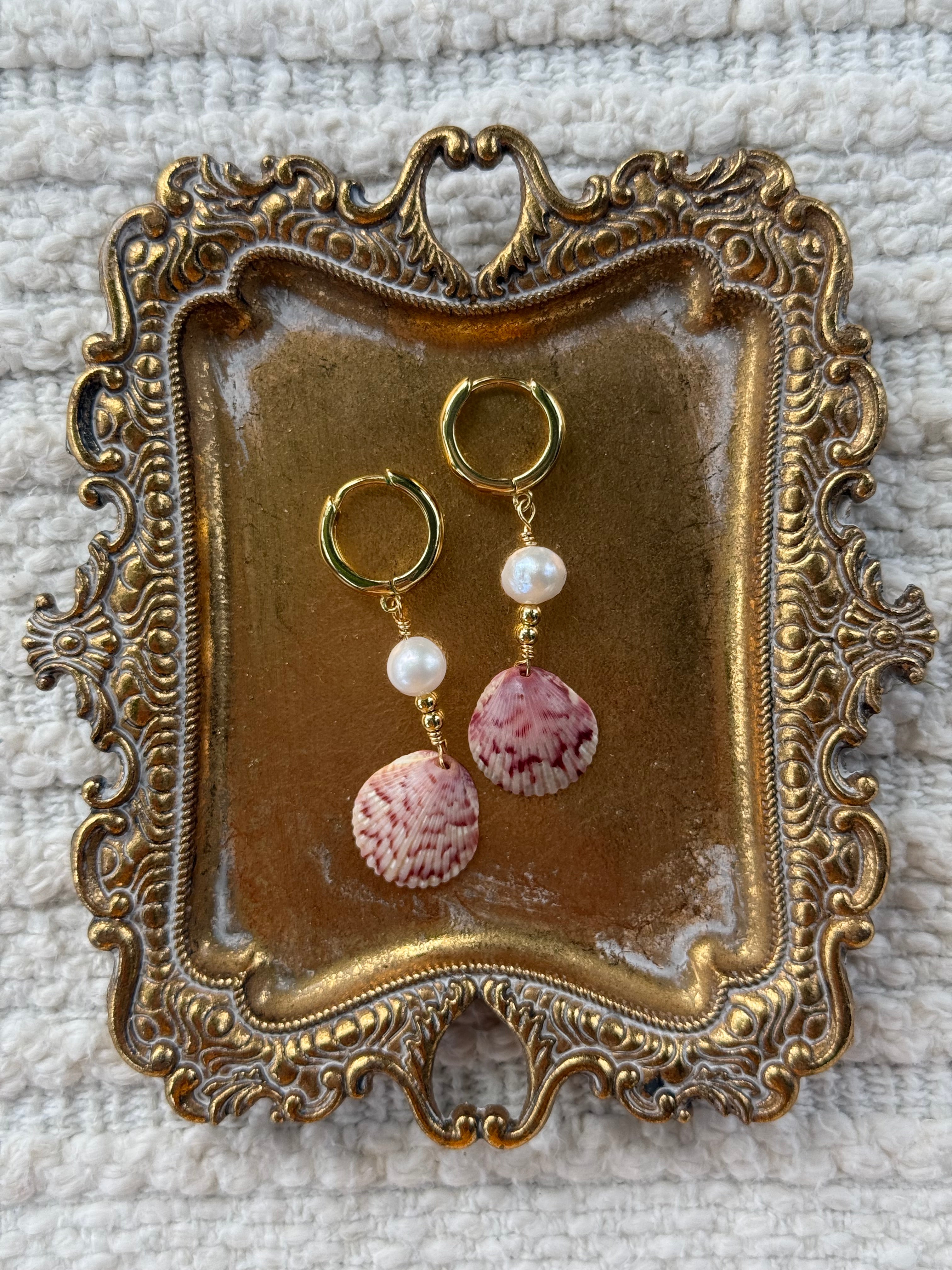 Seashell earrings