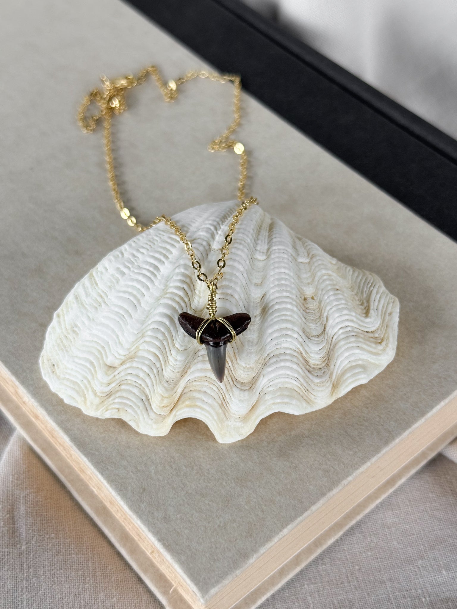 Shark tooth necklace