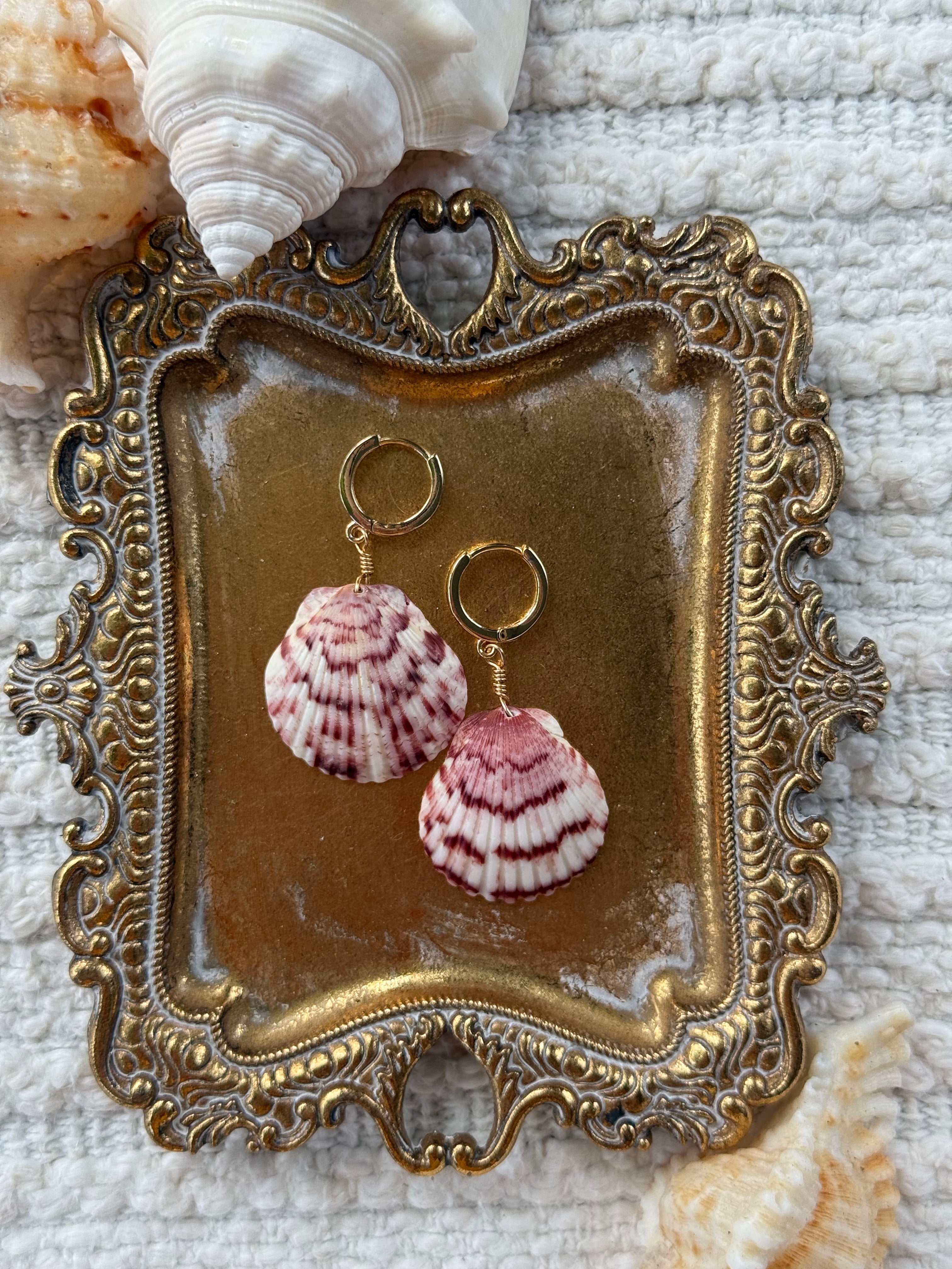 Seashell earrings