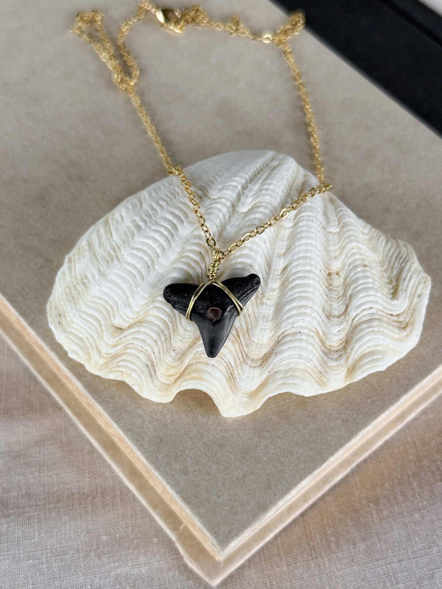 Shark tooth necklace
