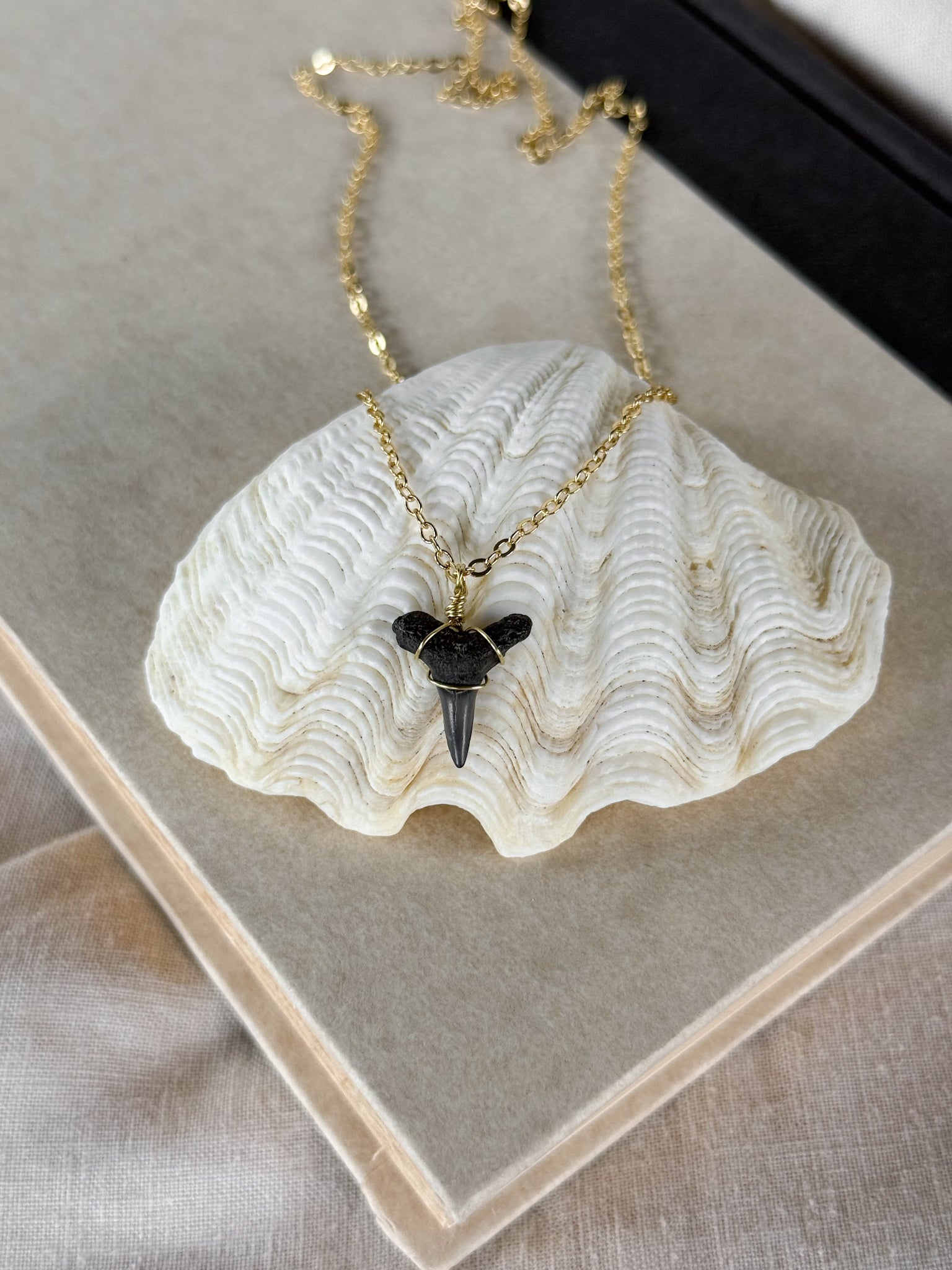 Shark tooth necklace