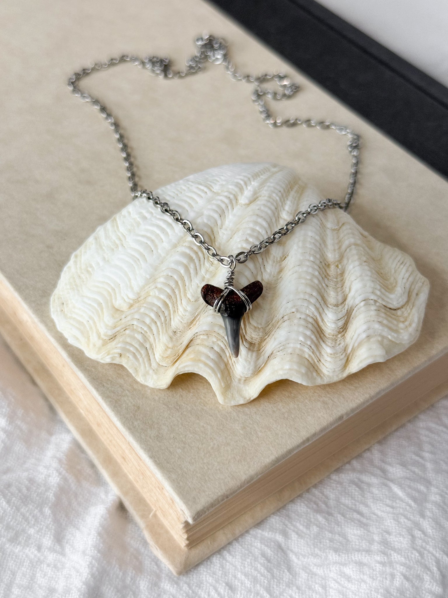 Shark tooth necklace