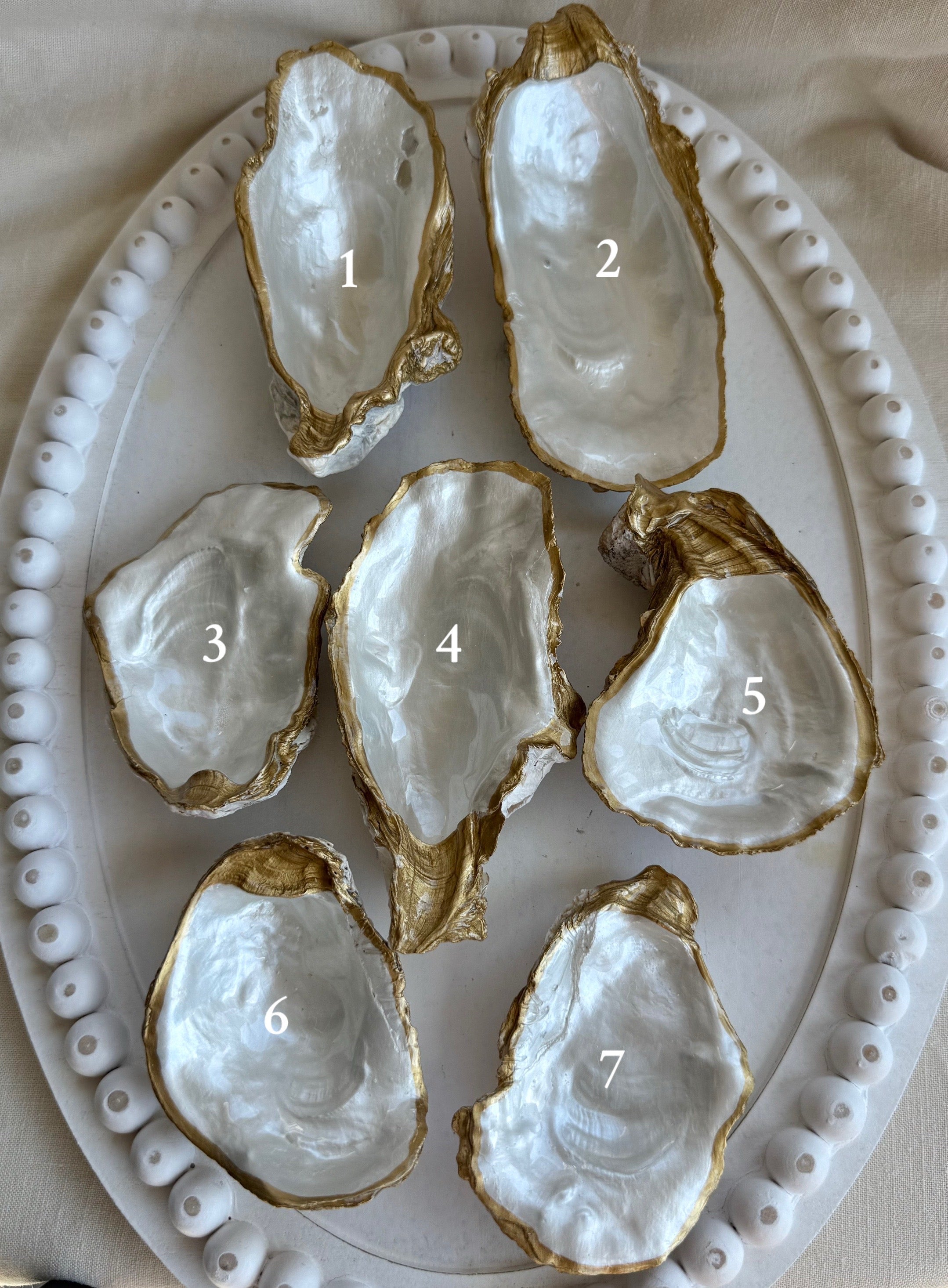 Pearl Oyster shell trays