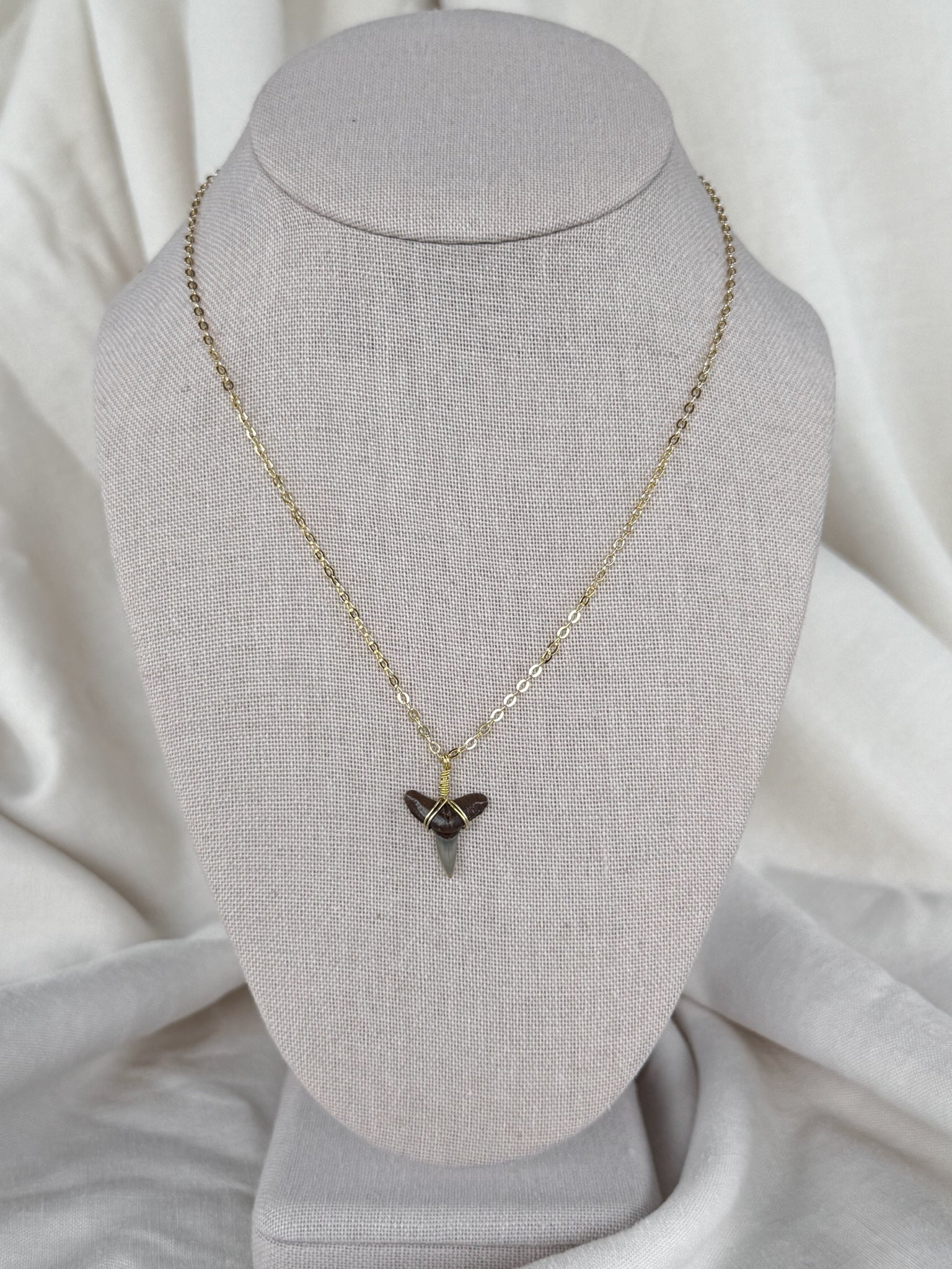 Shark tooth necklace