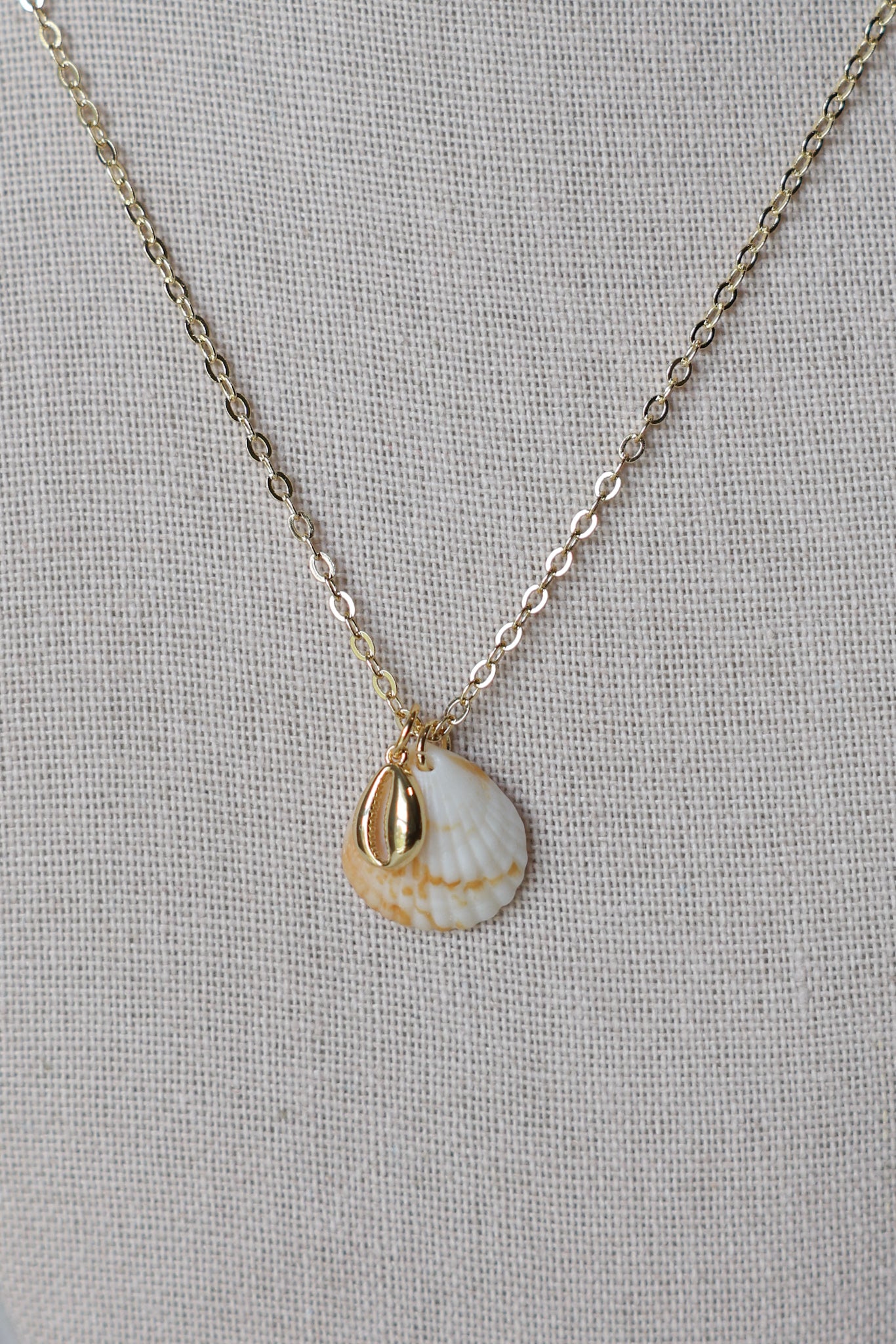 Seashell conch necklace