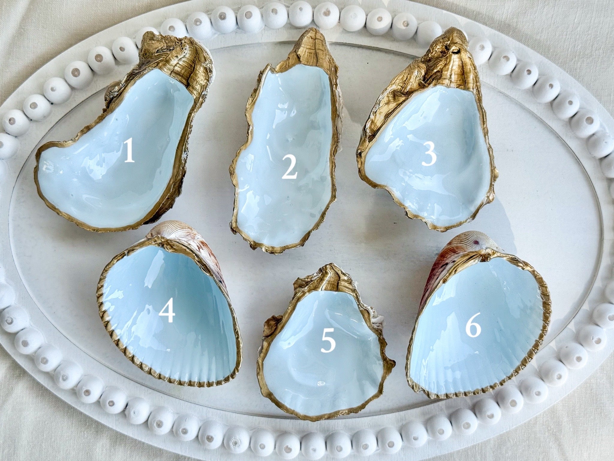 Sky blue shell trays
