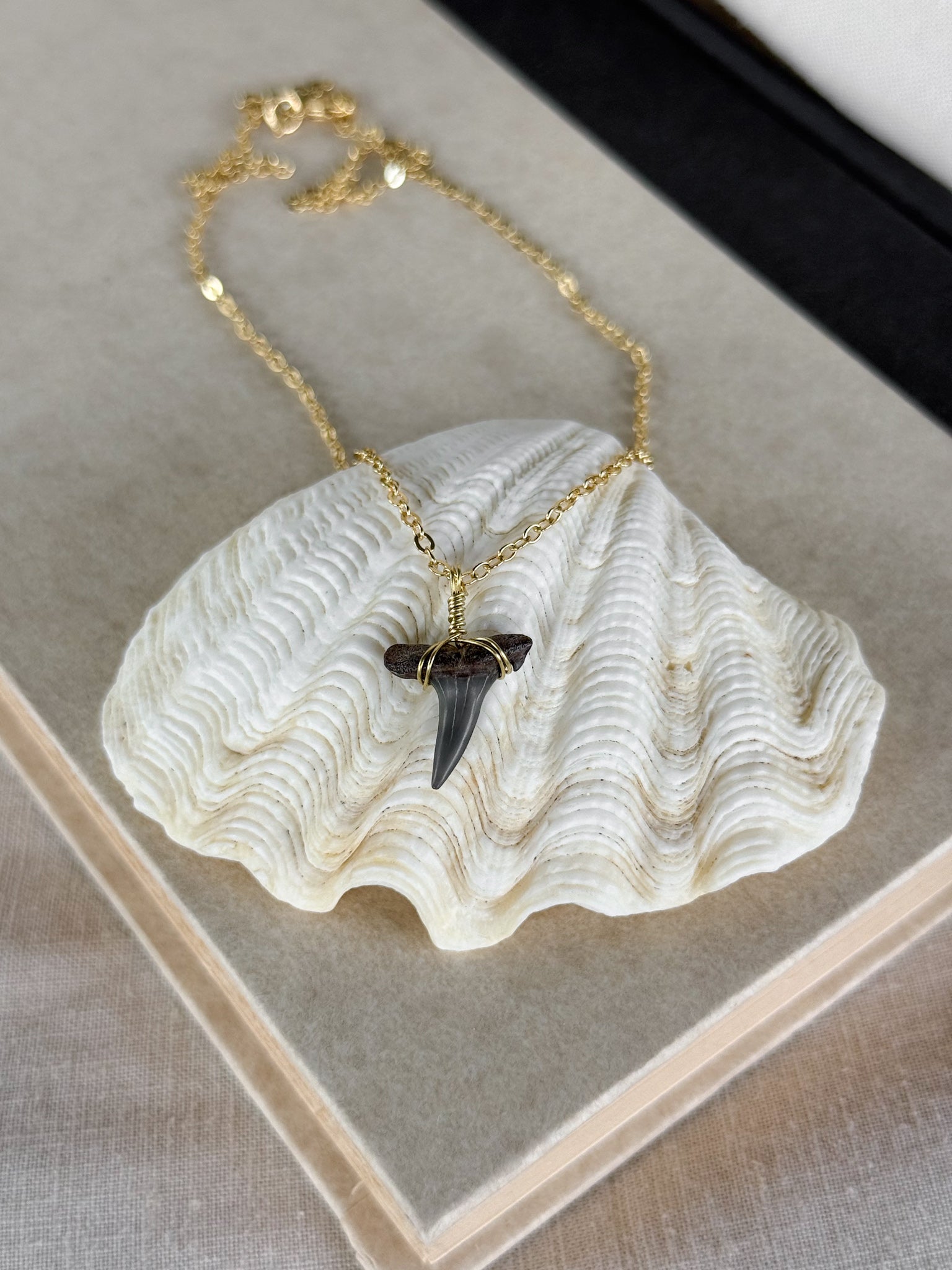 Shark tooth necklace