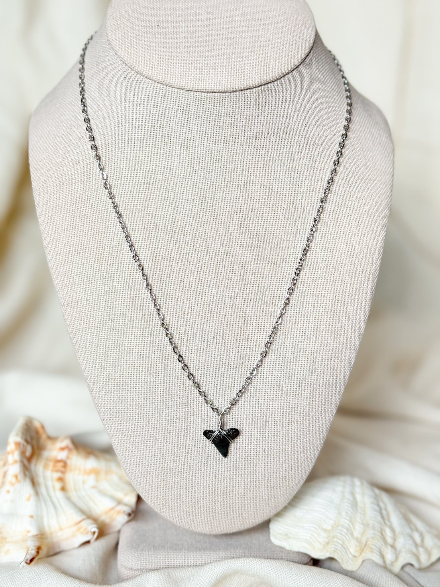 Shark tooth necklace