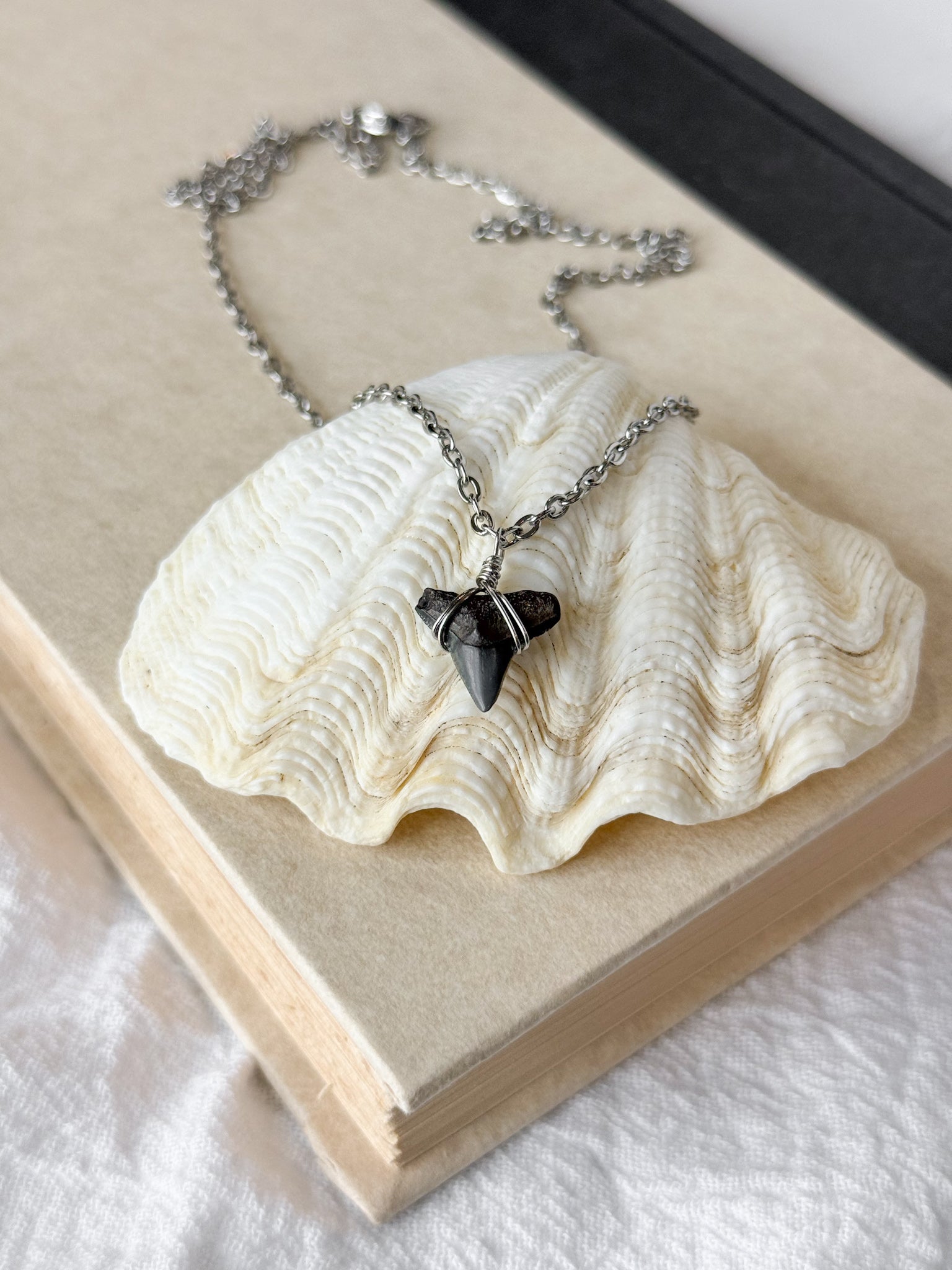 Shark tooth necklace