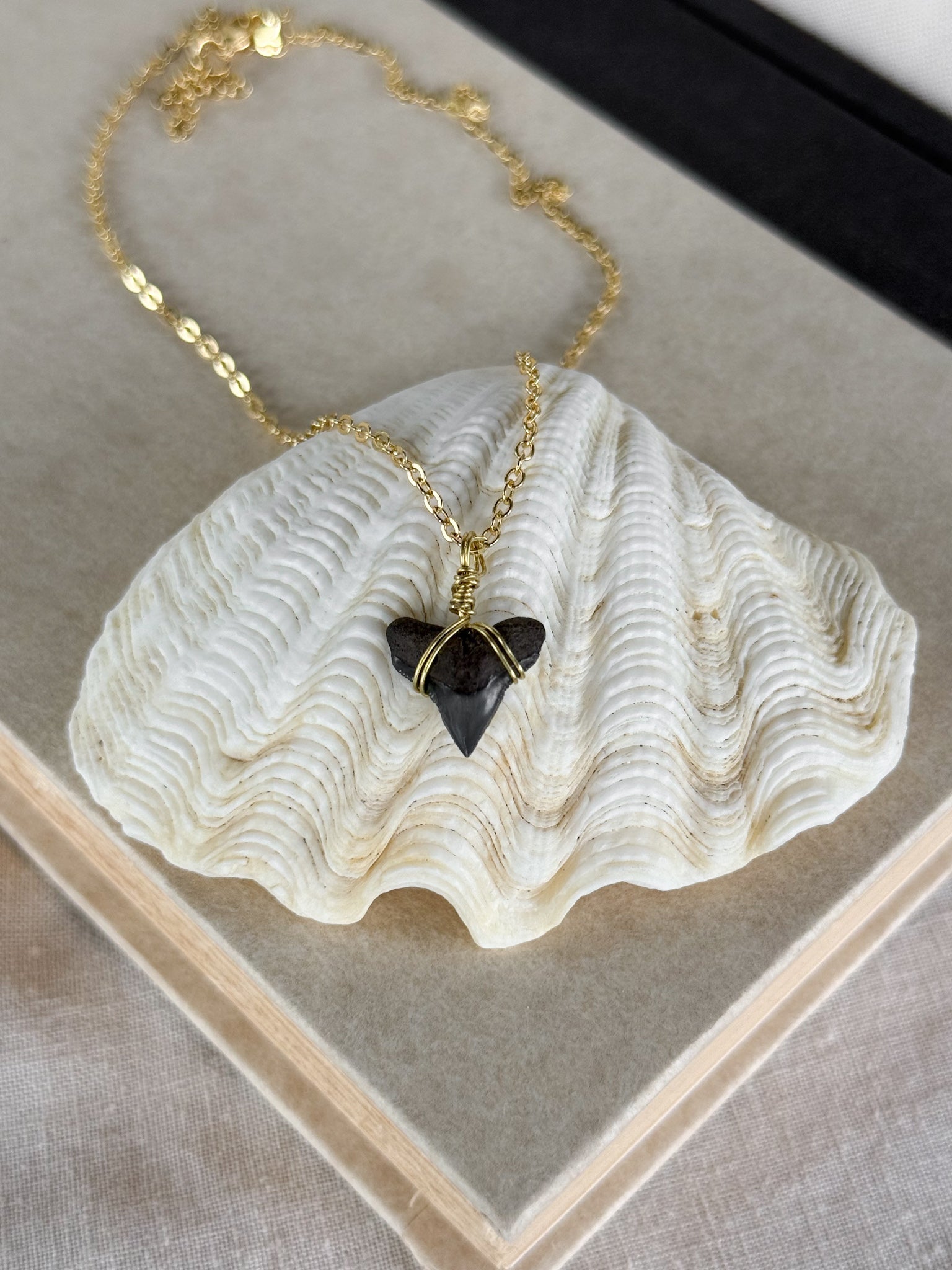 Shark tooth necklace