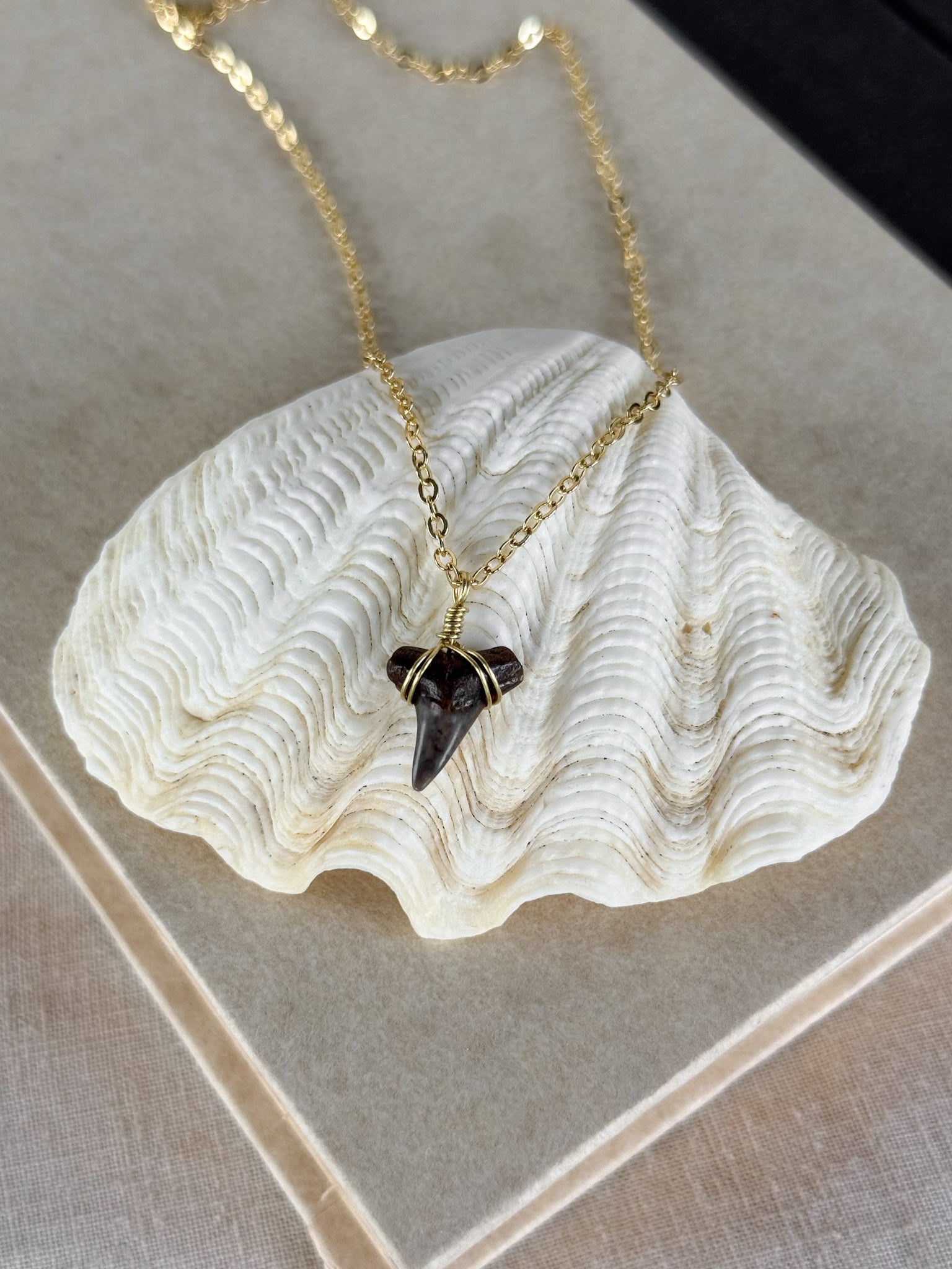 Shark tooth necklace