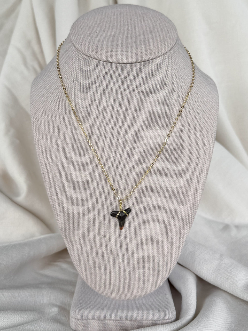Shark tooth necklace