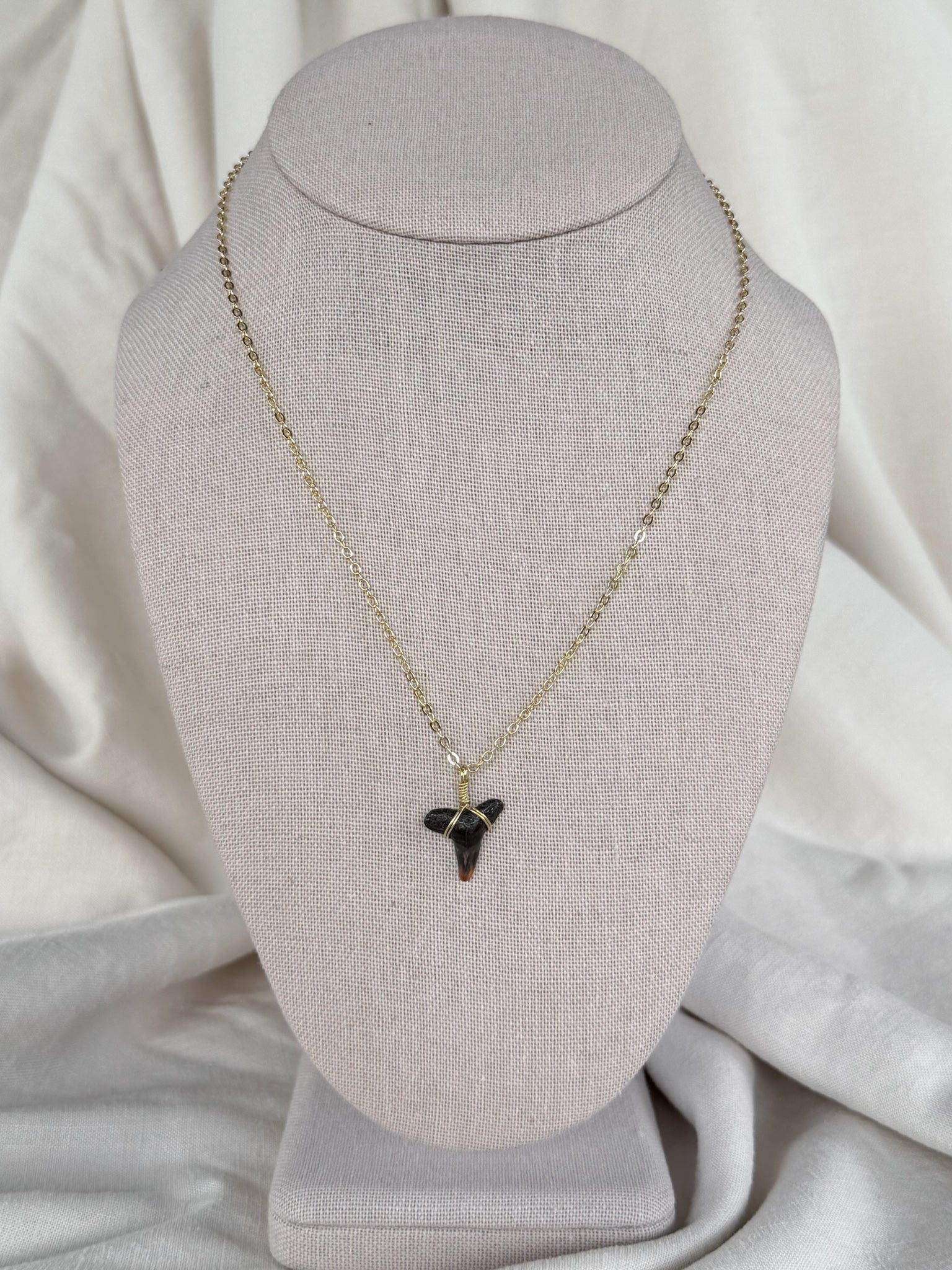Shark tooth necklace
