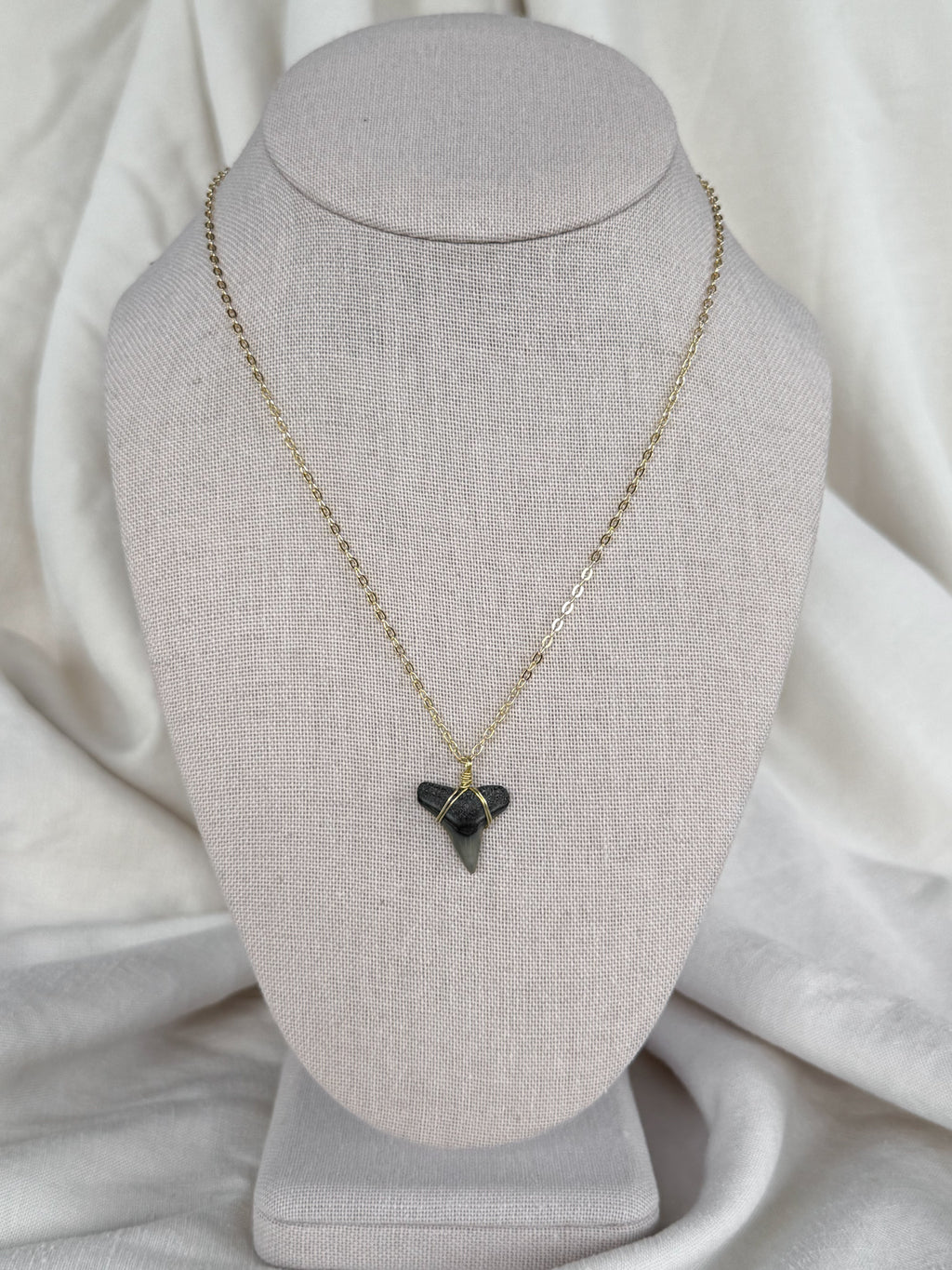 Shark Tooth necklace
