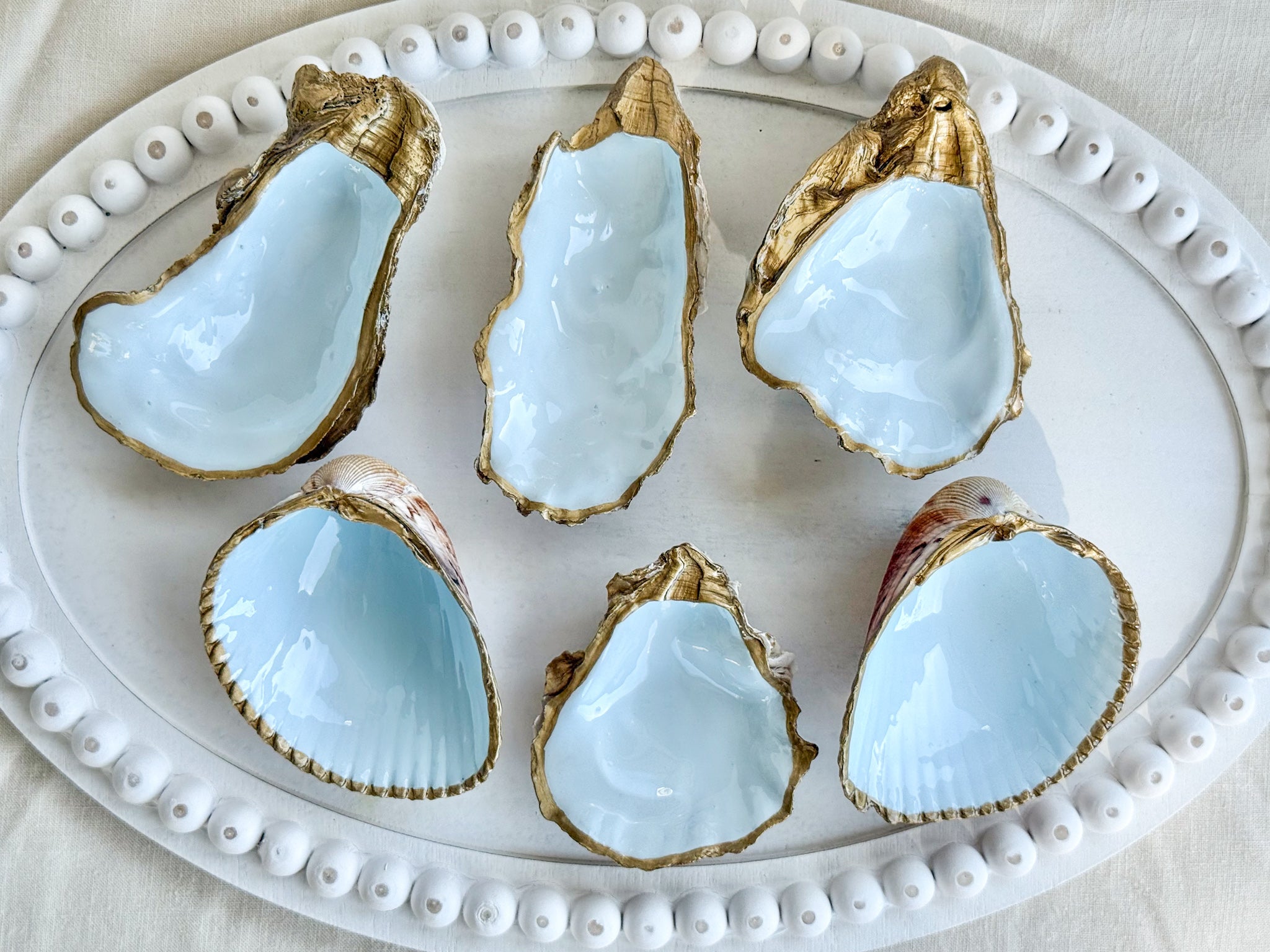 Sky blue shell trays