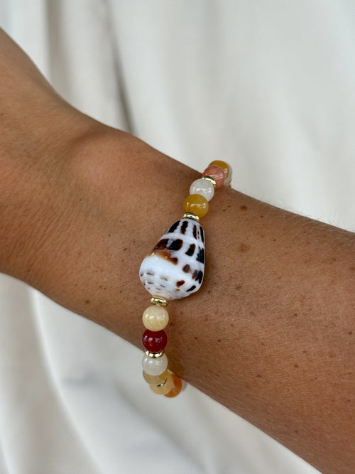 Cone shell bracelet