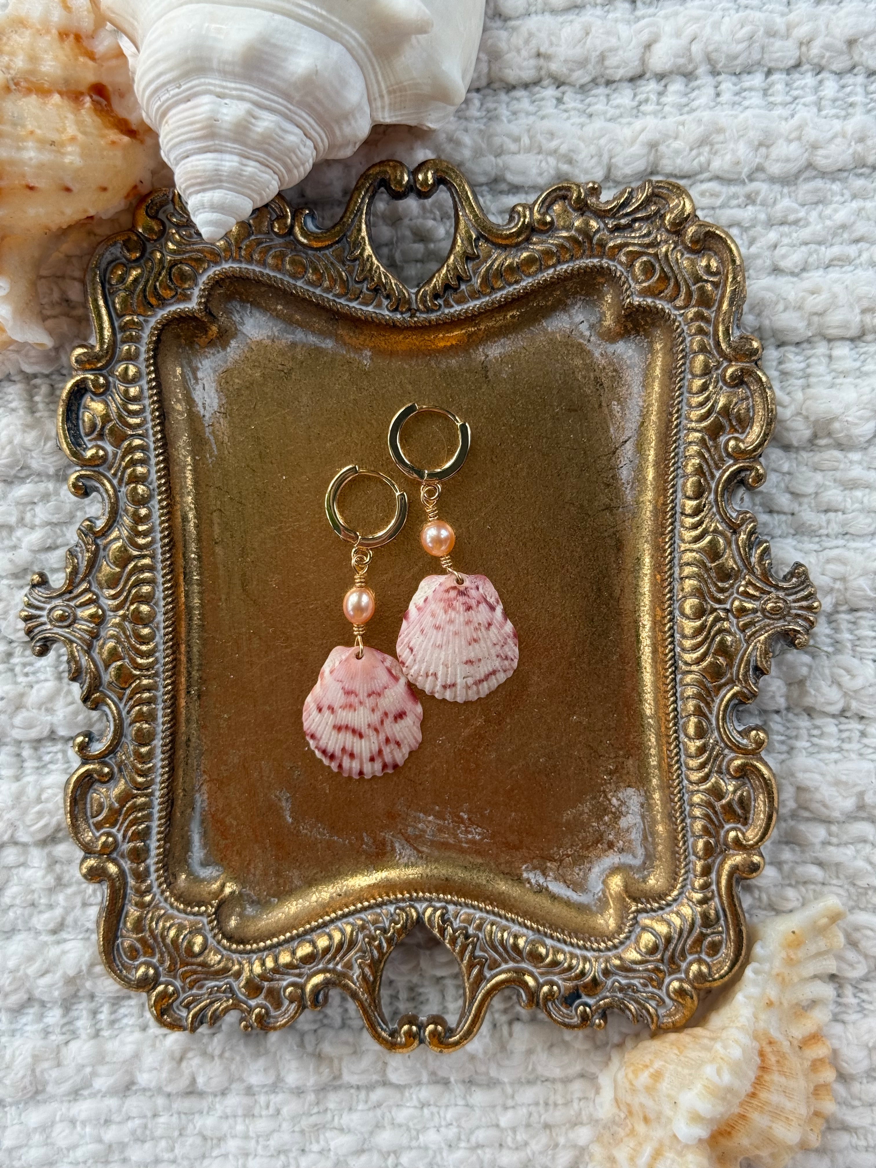 Seashell earrings