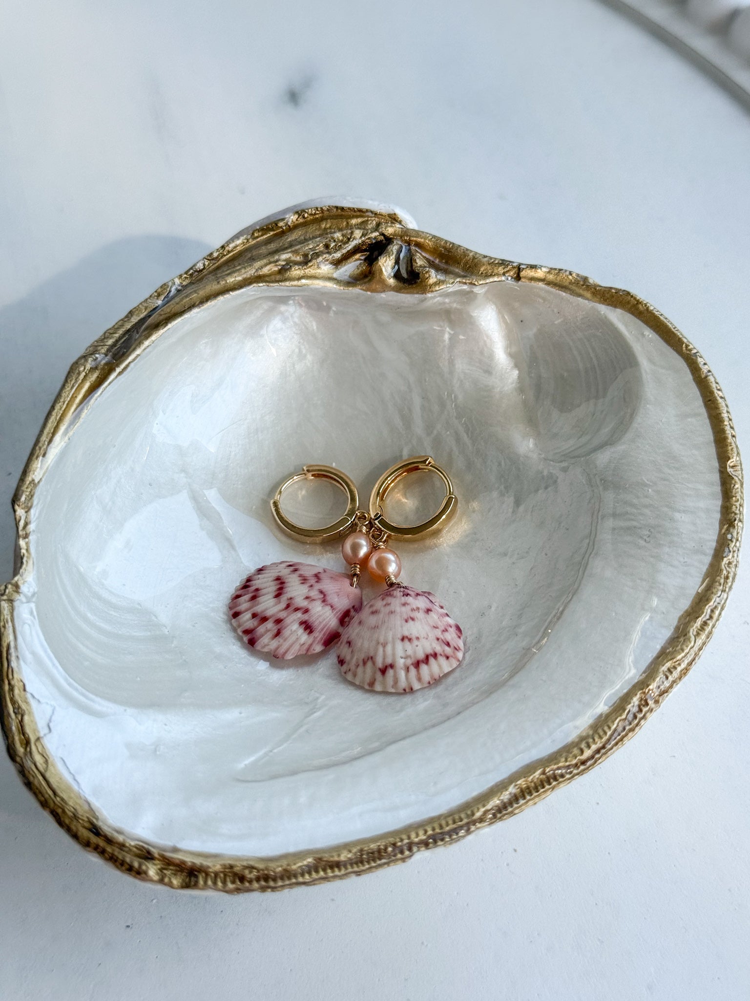 Large clam shell tray