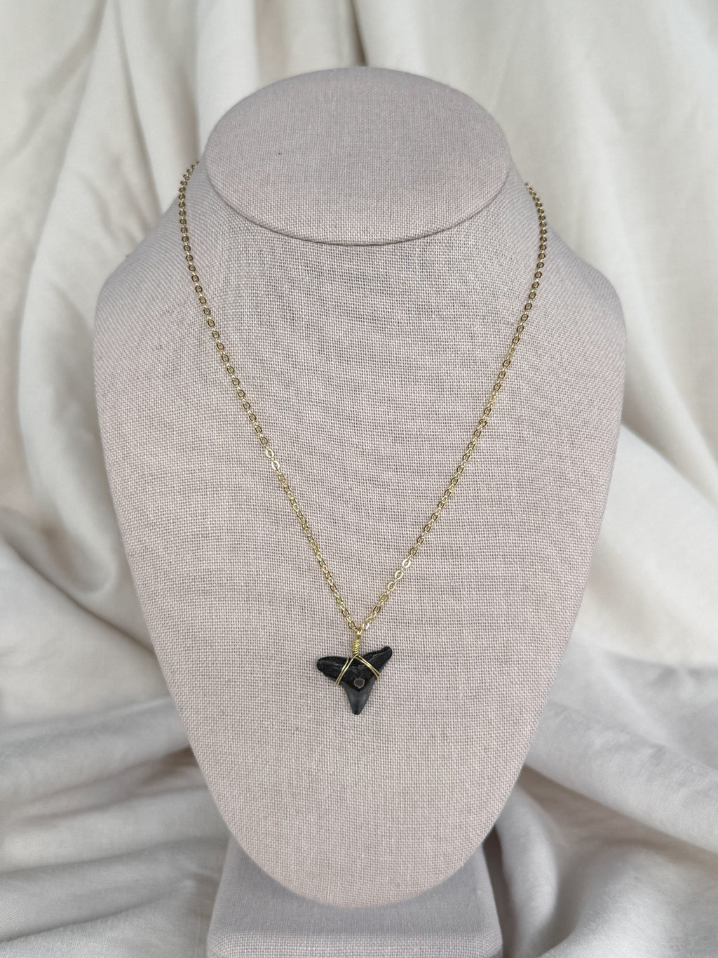 Shark tooth necklace