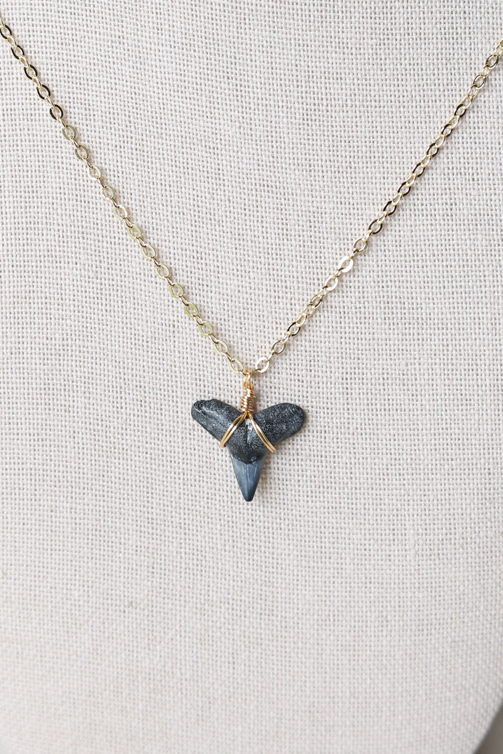 Shark tooth necklace
