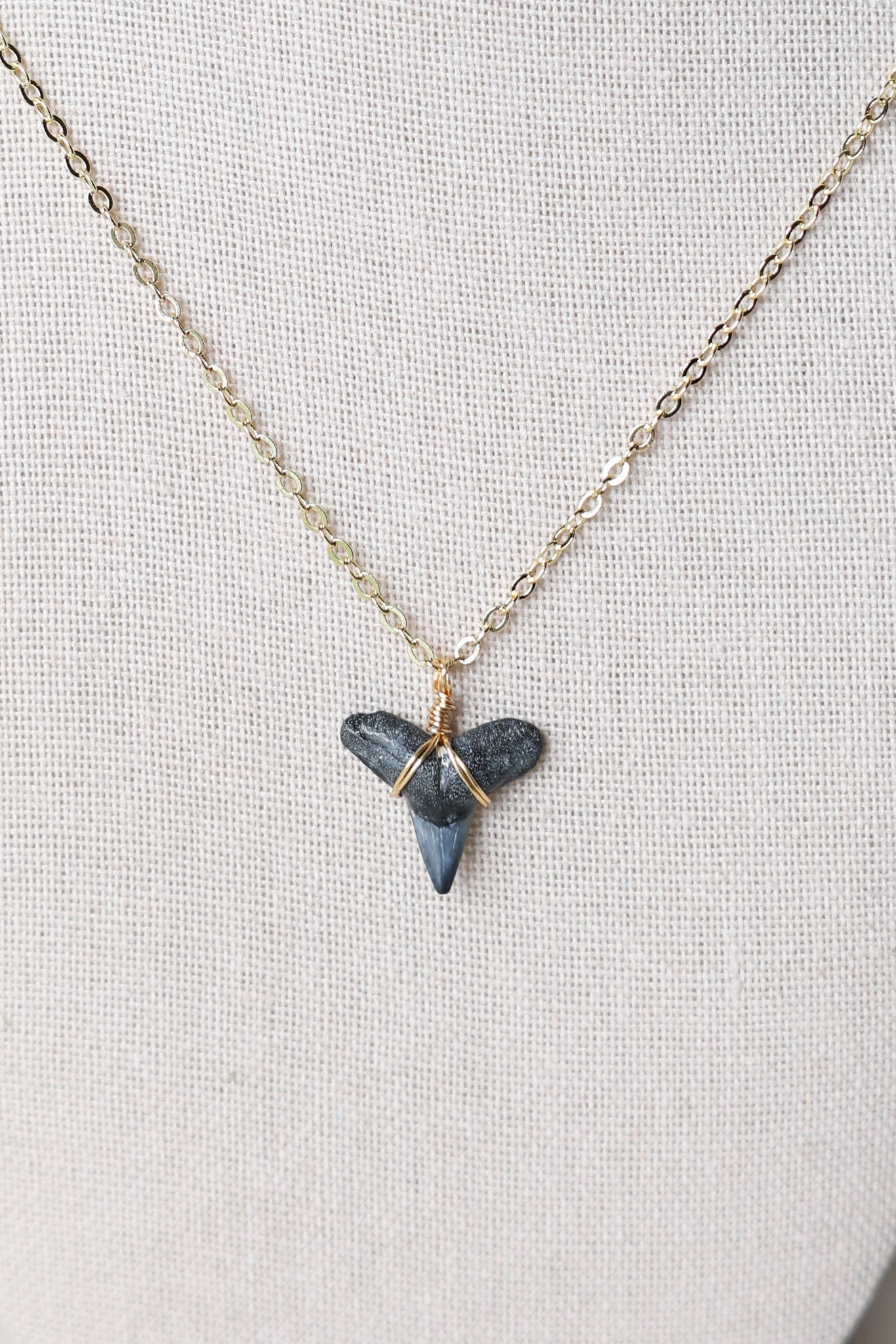 Shark tooth necklace