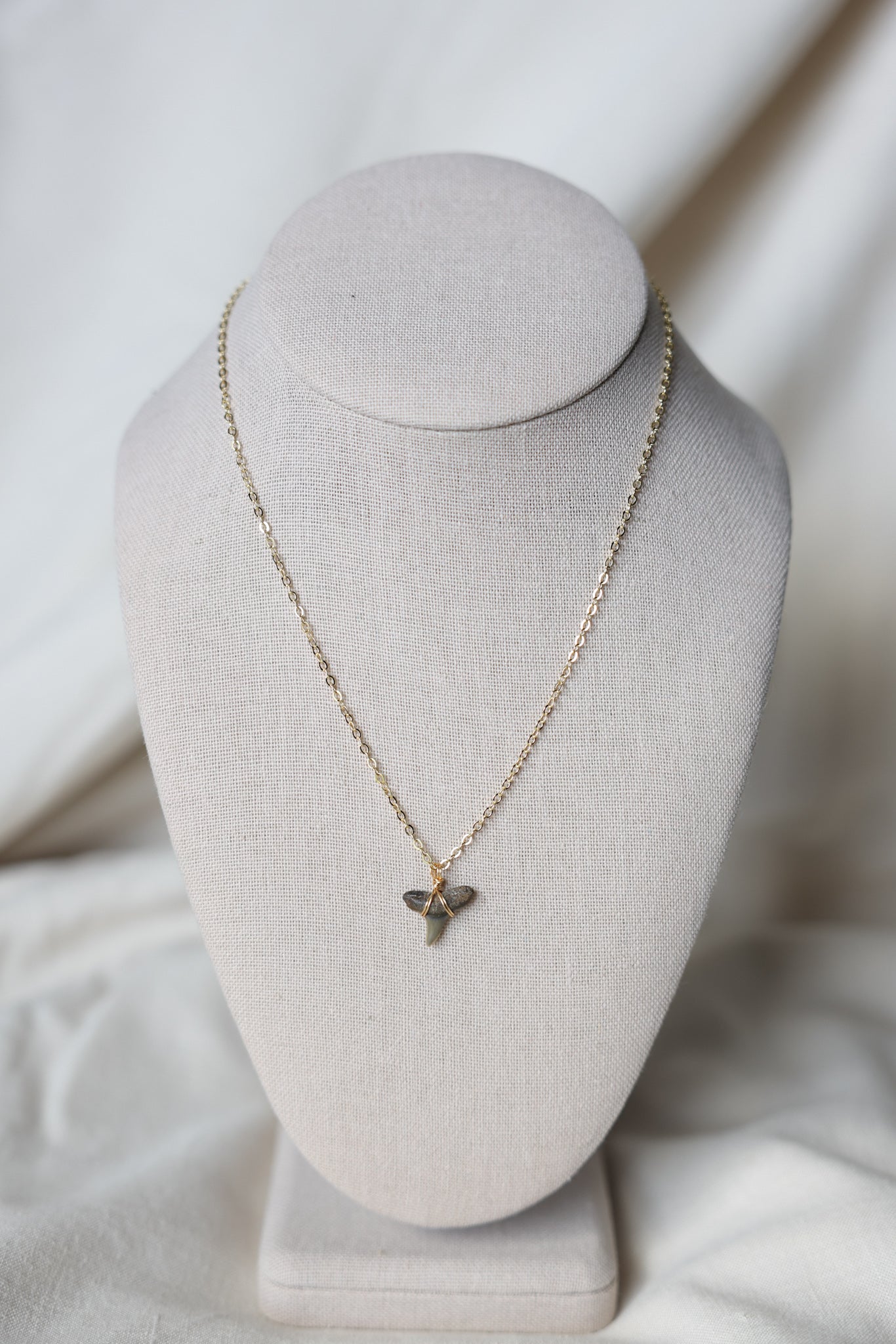 Shark tooth necklace