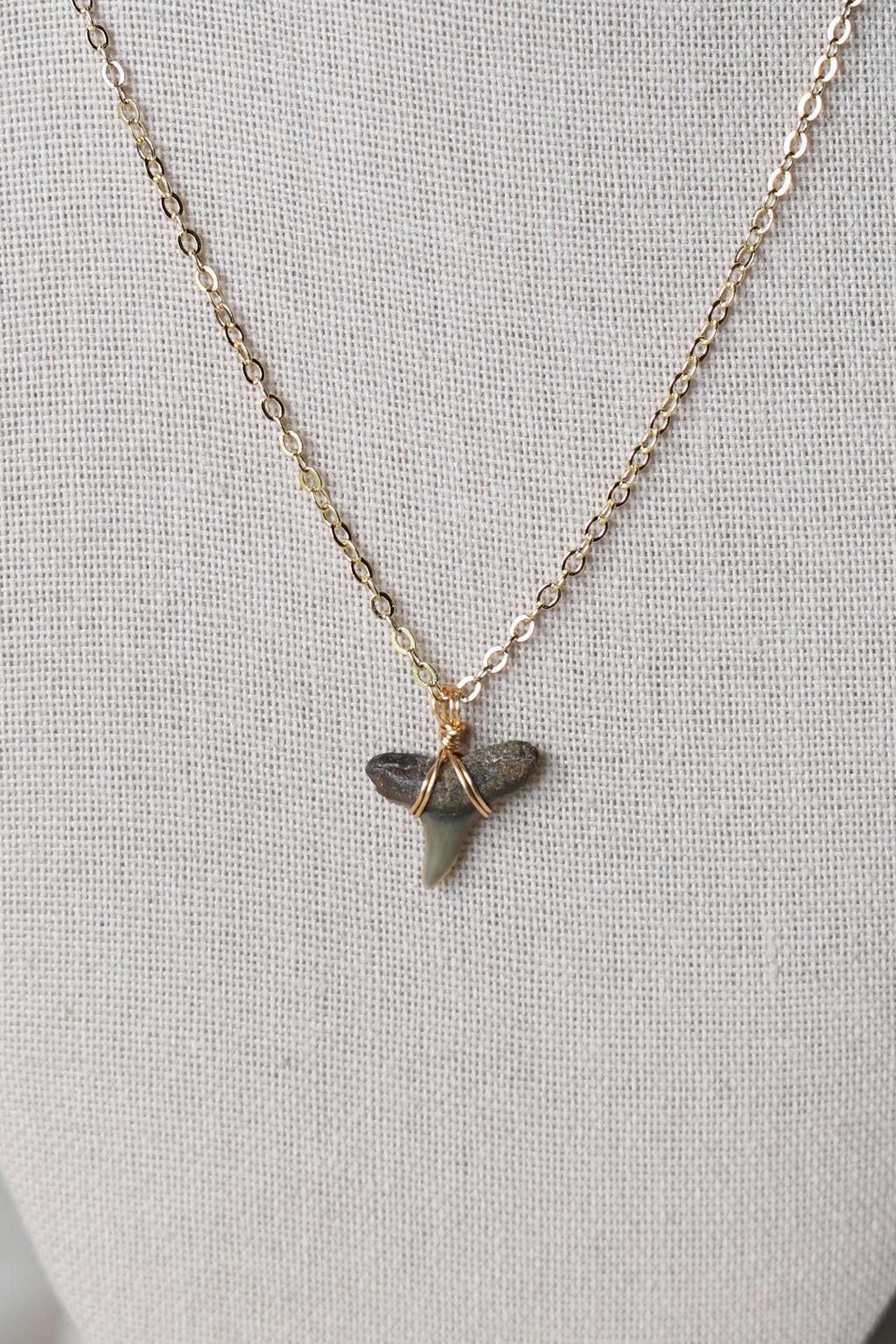 Shark tooth necklace