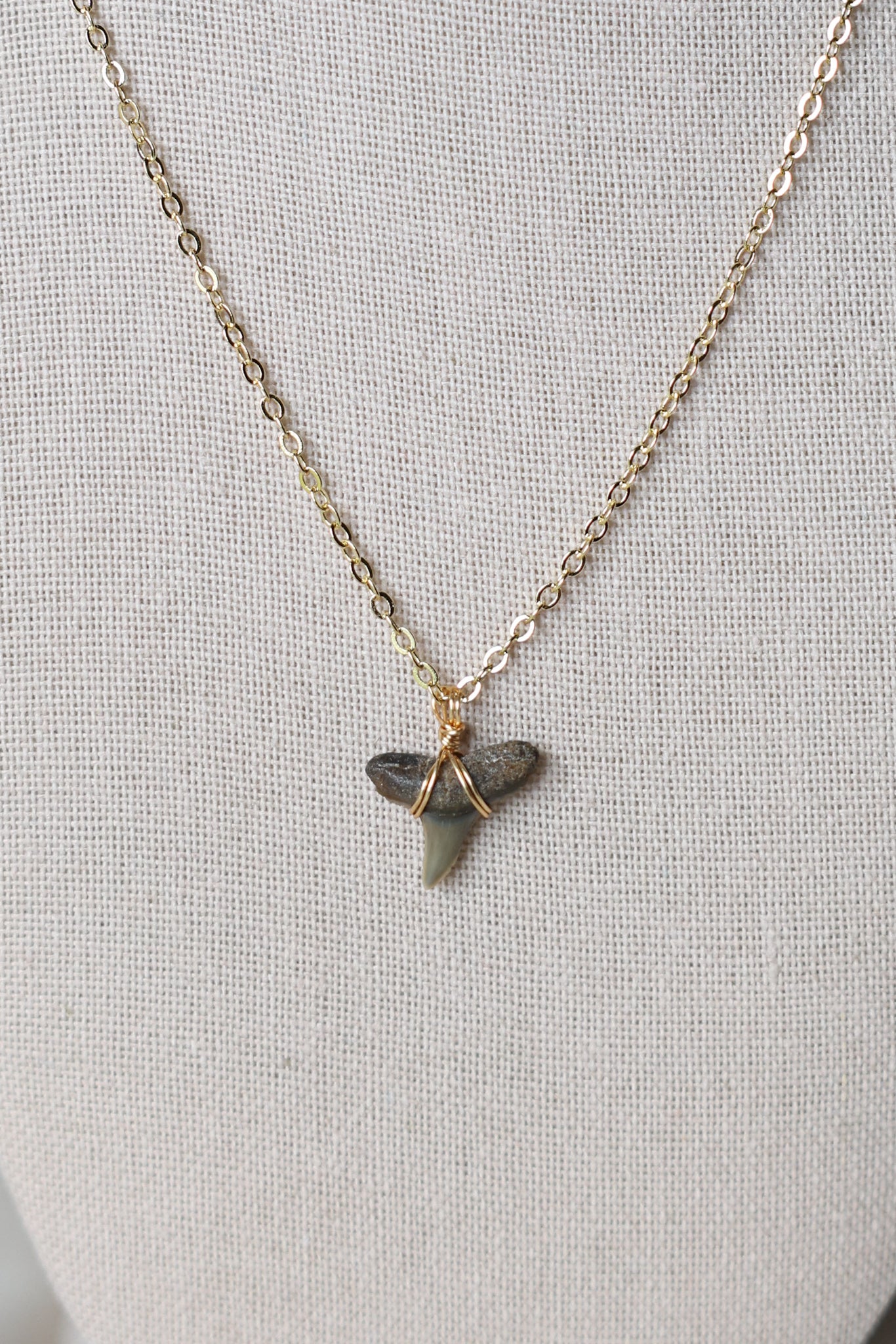 Shark tooth necklace