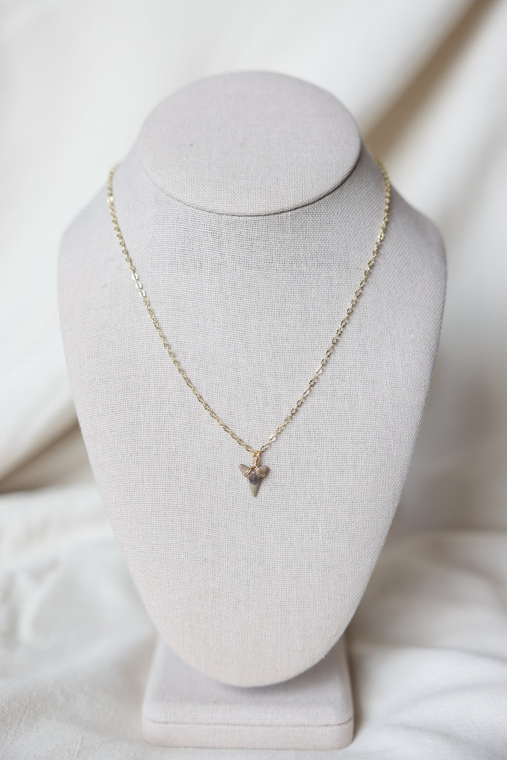 Shark tooth necklace