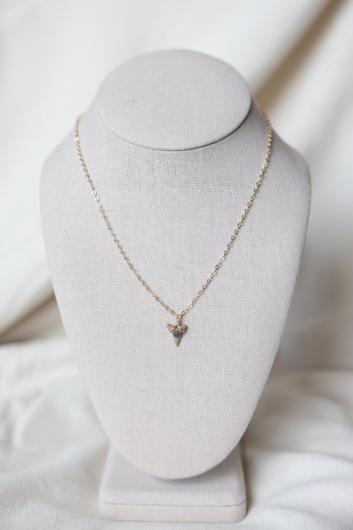 Shark tooth necklace