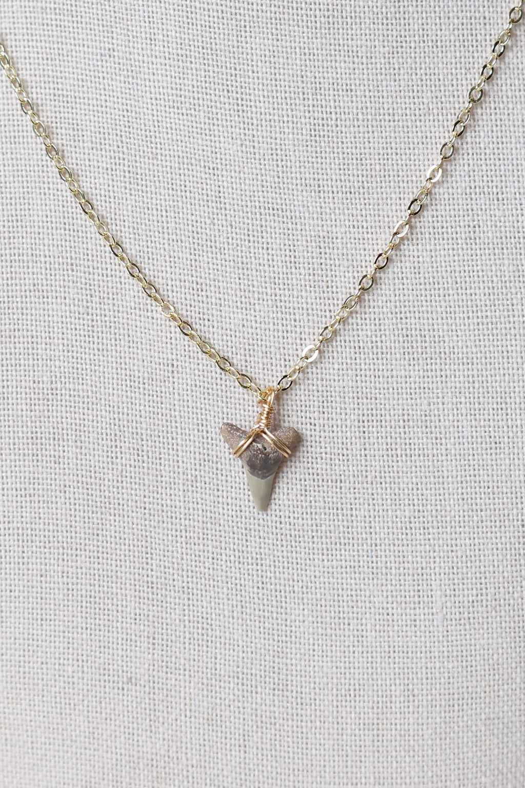 Shark tooth necklace