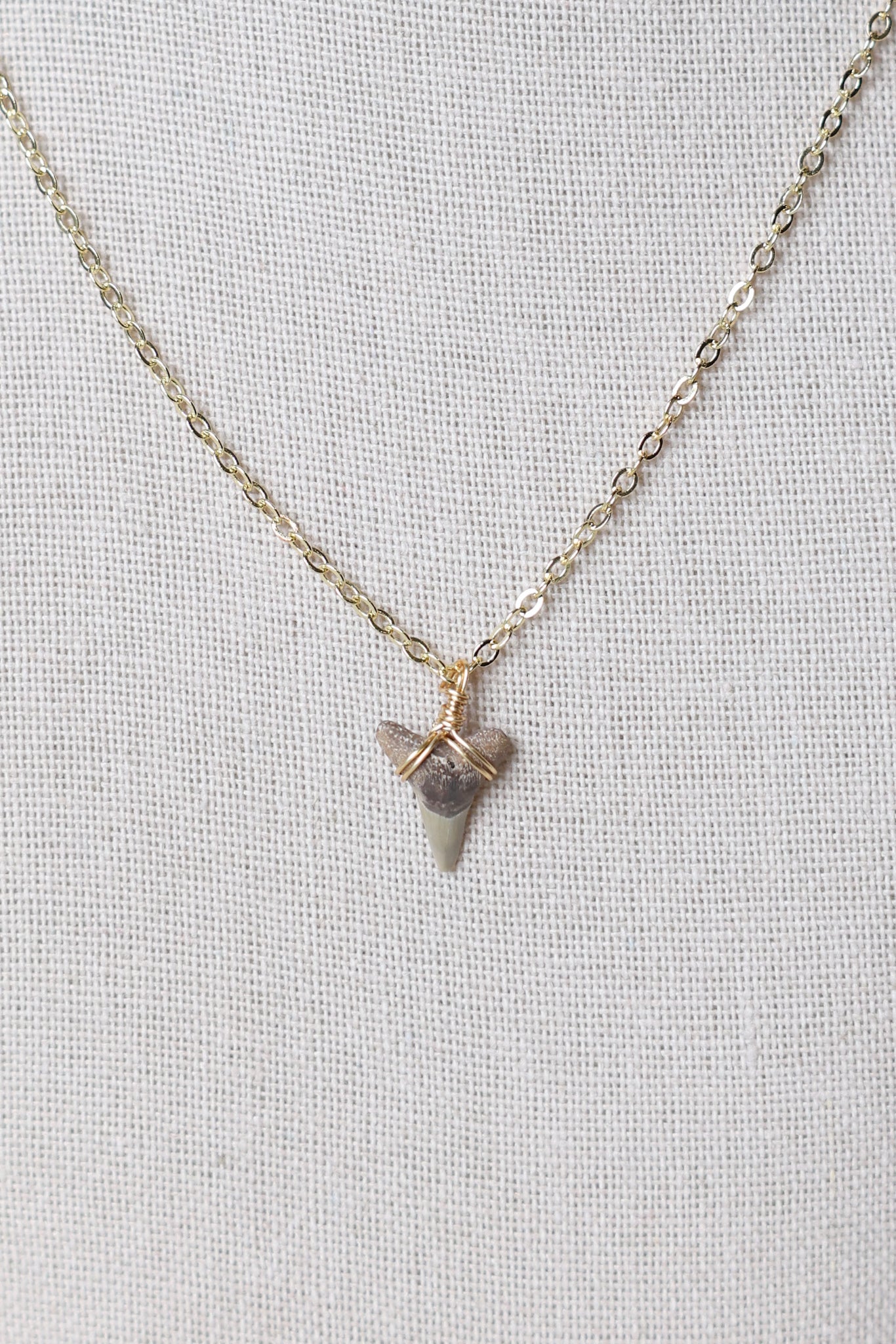 Shark tooth necklace