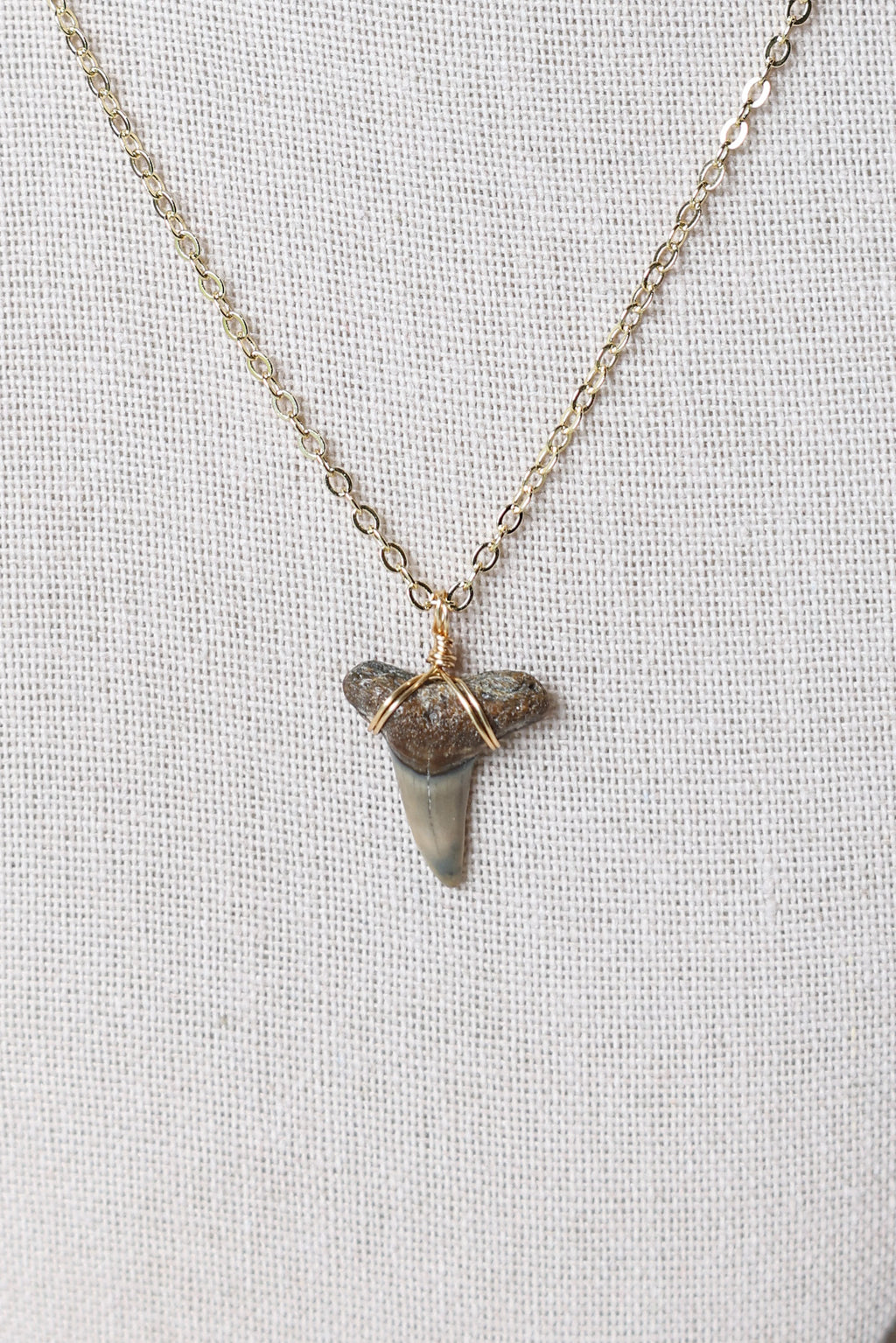 Shark tooth necklace