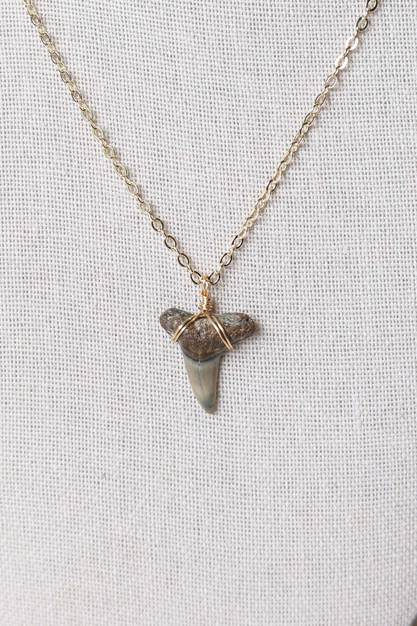 Shark tooth necklace