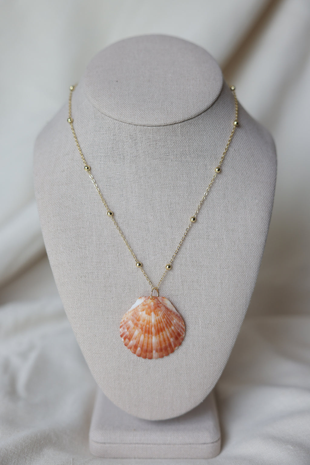 Seashell necklace