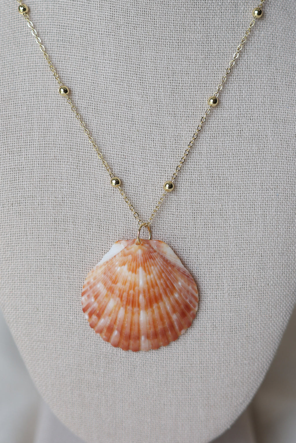 Seashell necklace