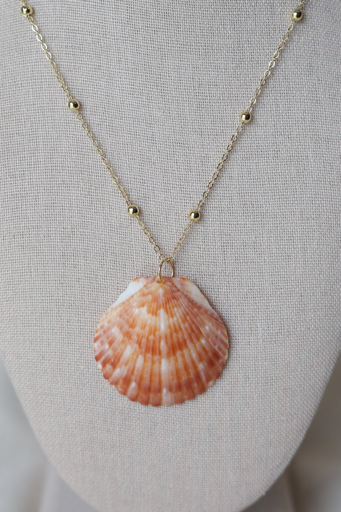 Seashell necklace