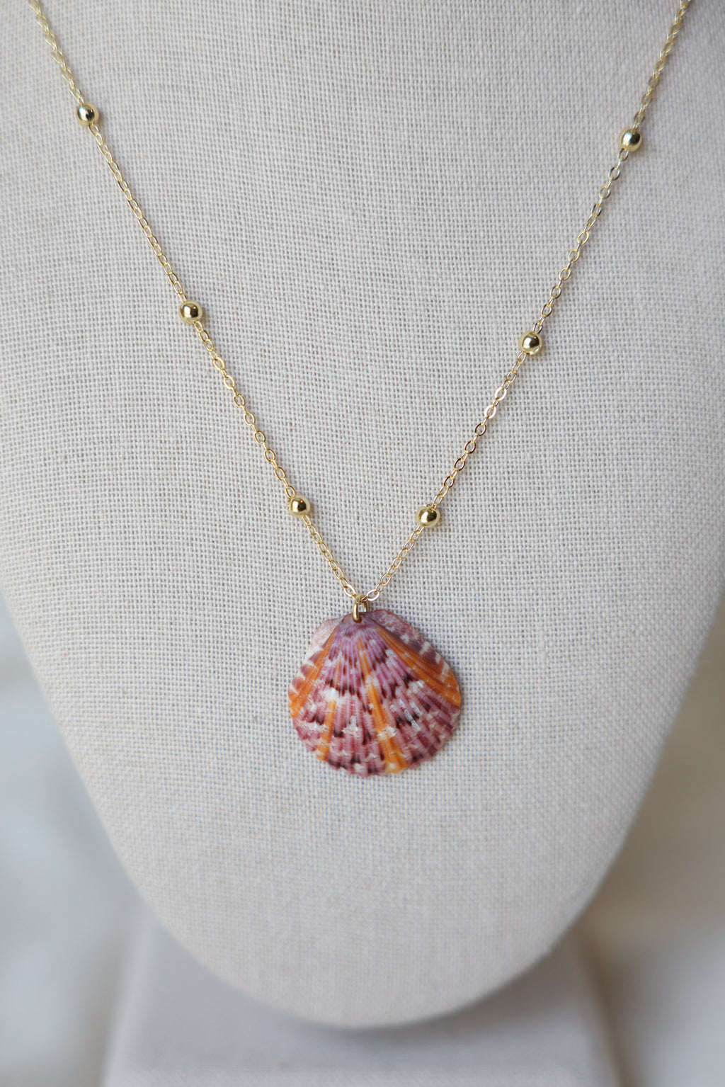 Seashell necklace