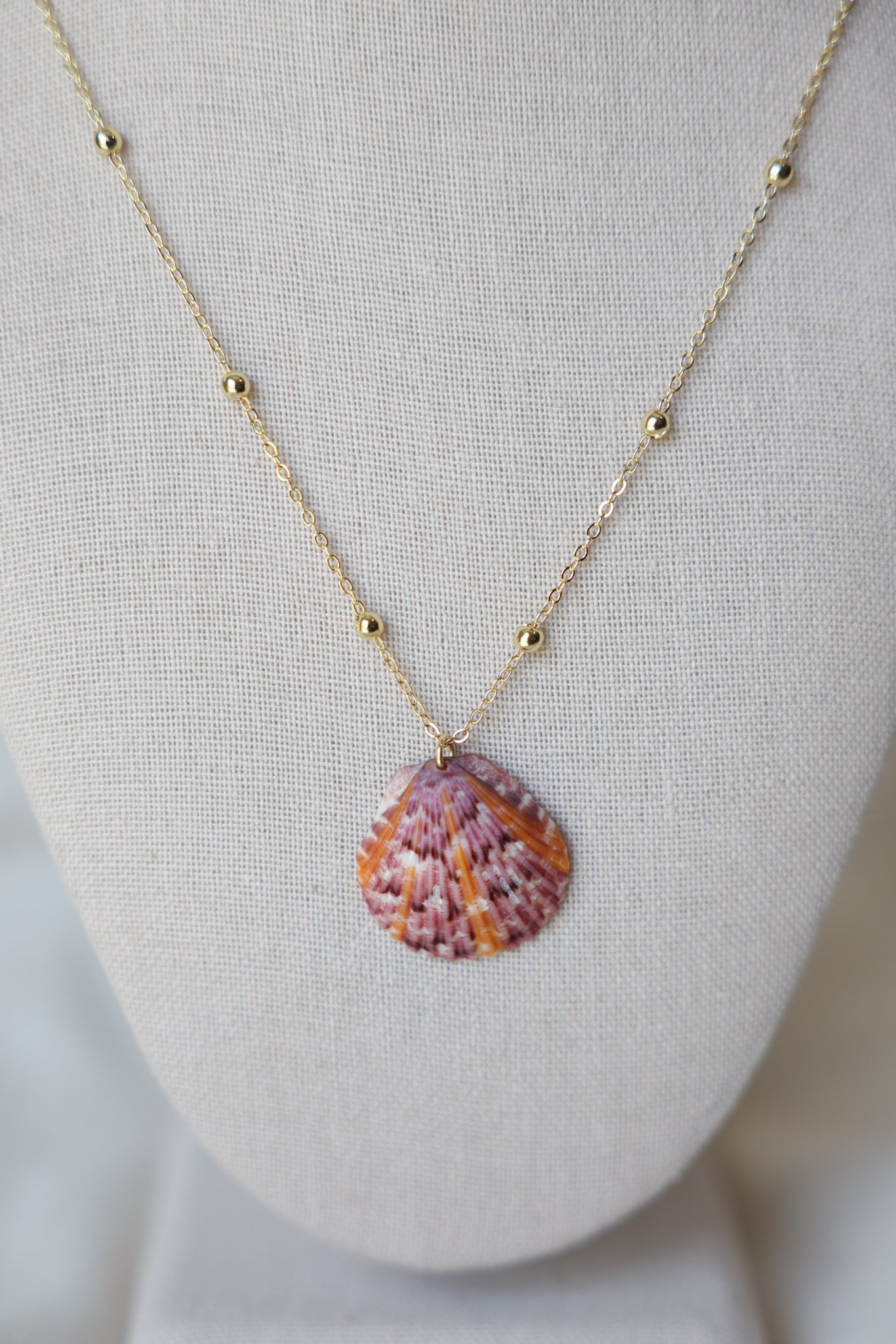 Seashell necklace