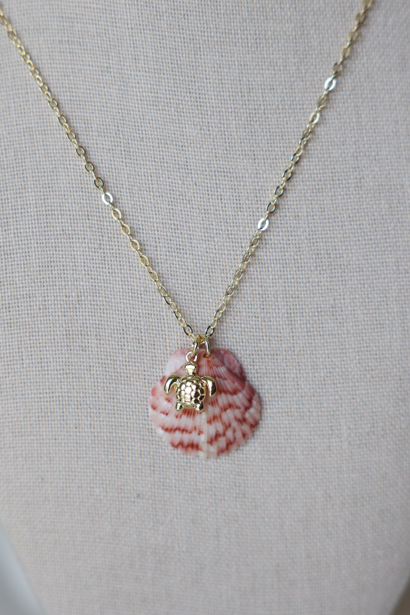 Seashell turtle charm necklace