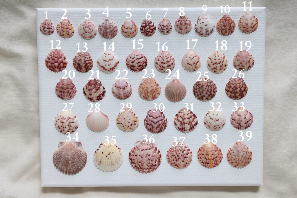 Custome dainty chain necklace