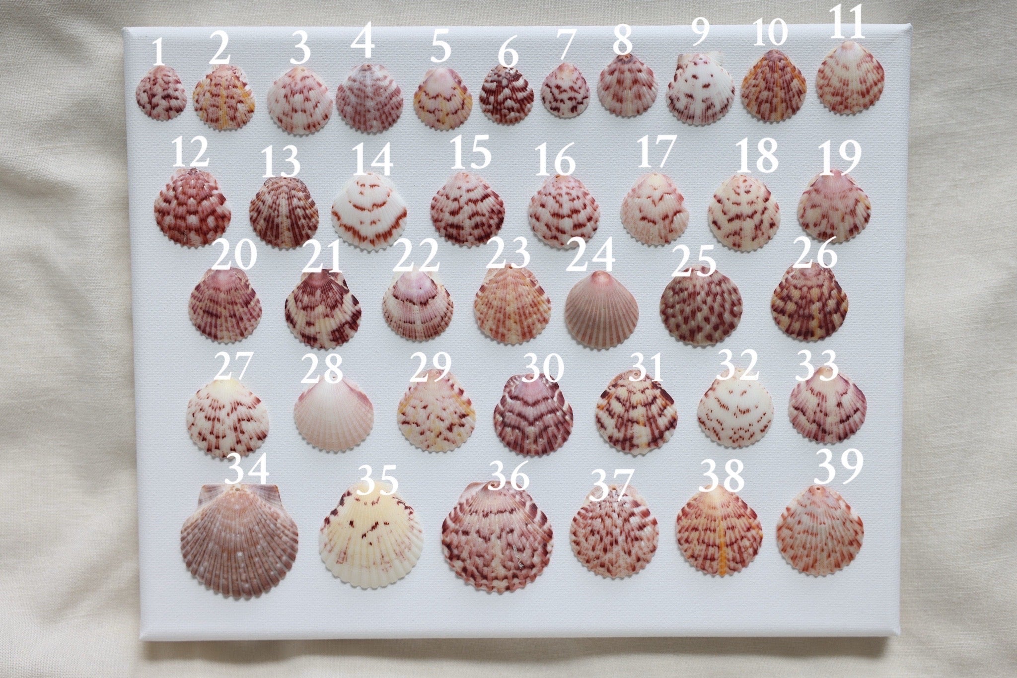 Custome dainty chain necklace